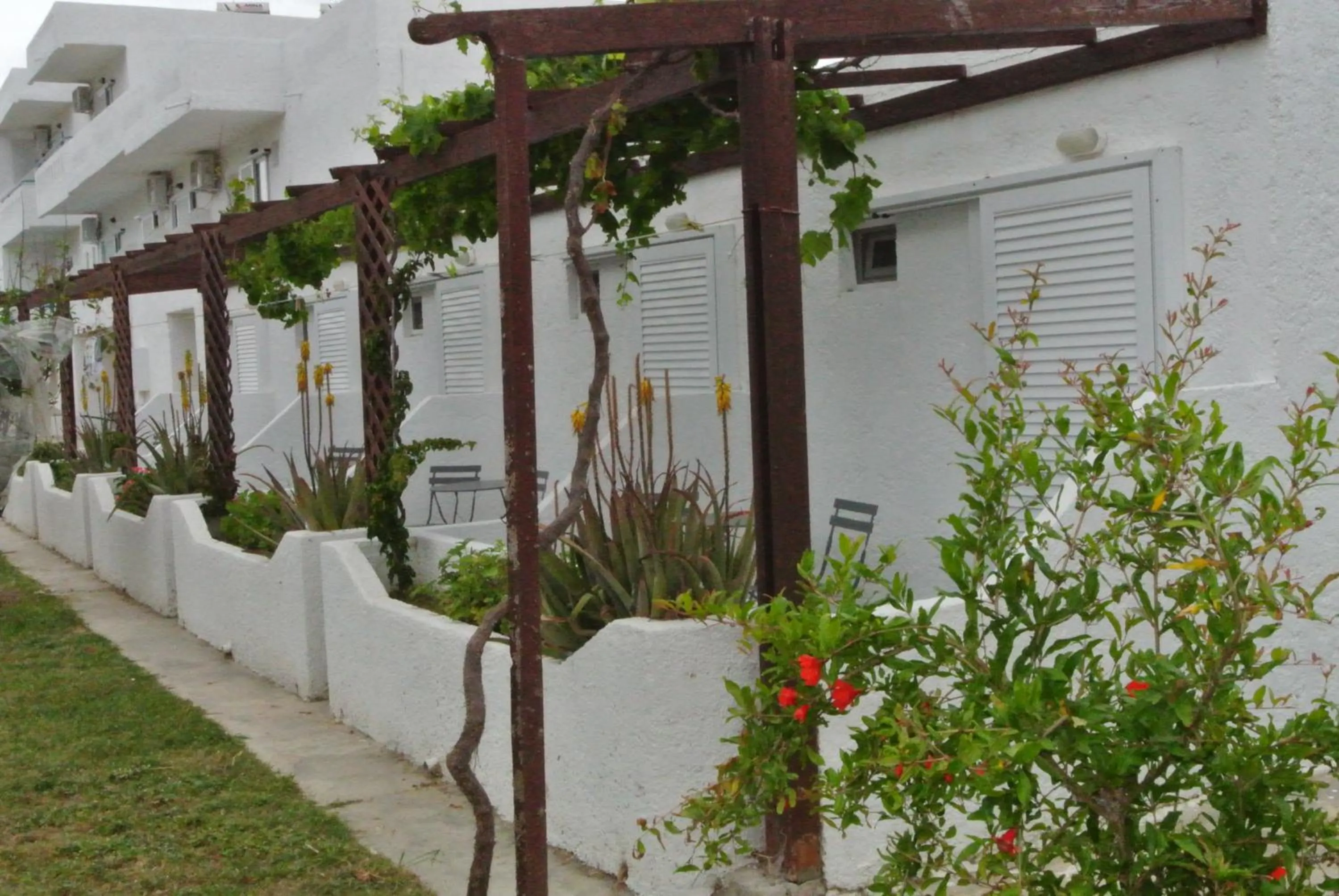 Mountain view in Kokalakis Hotel