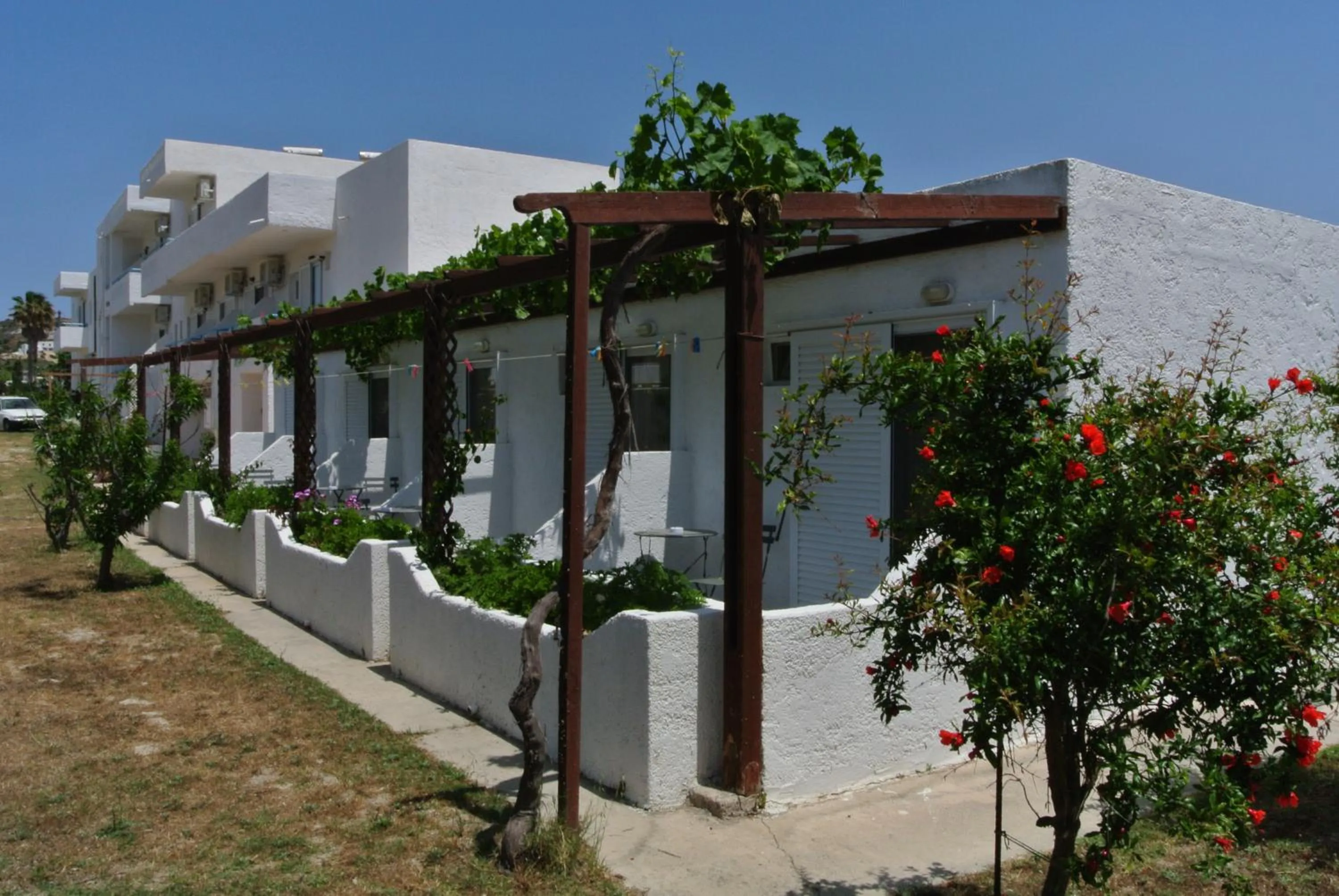 Garden in Kokalakis Hotel