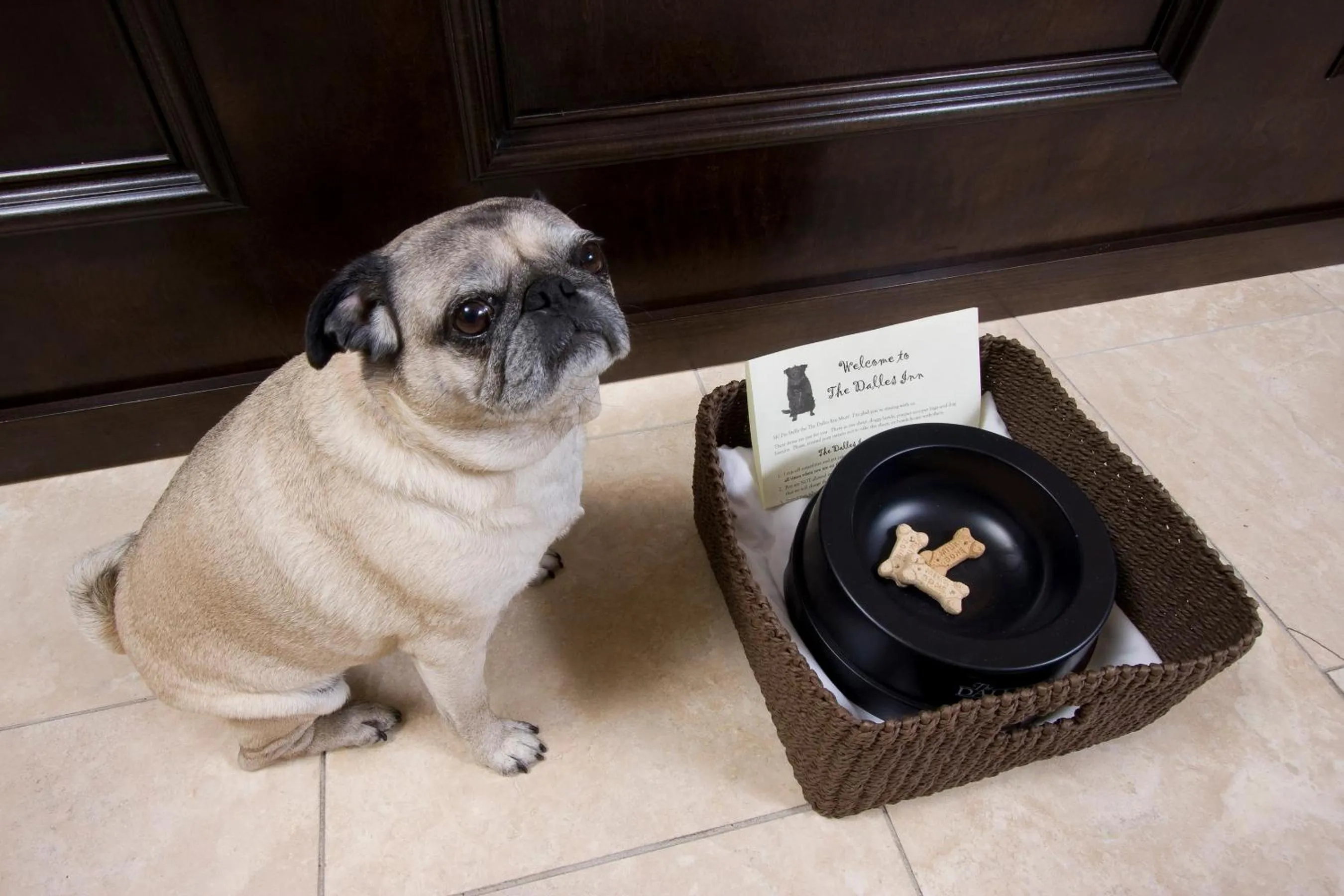 Pets in The Dalles Inn