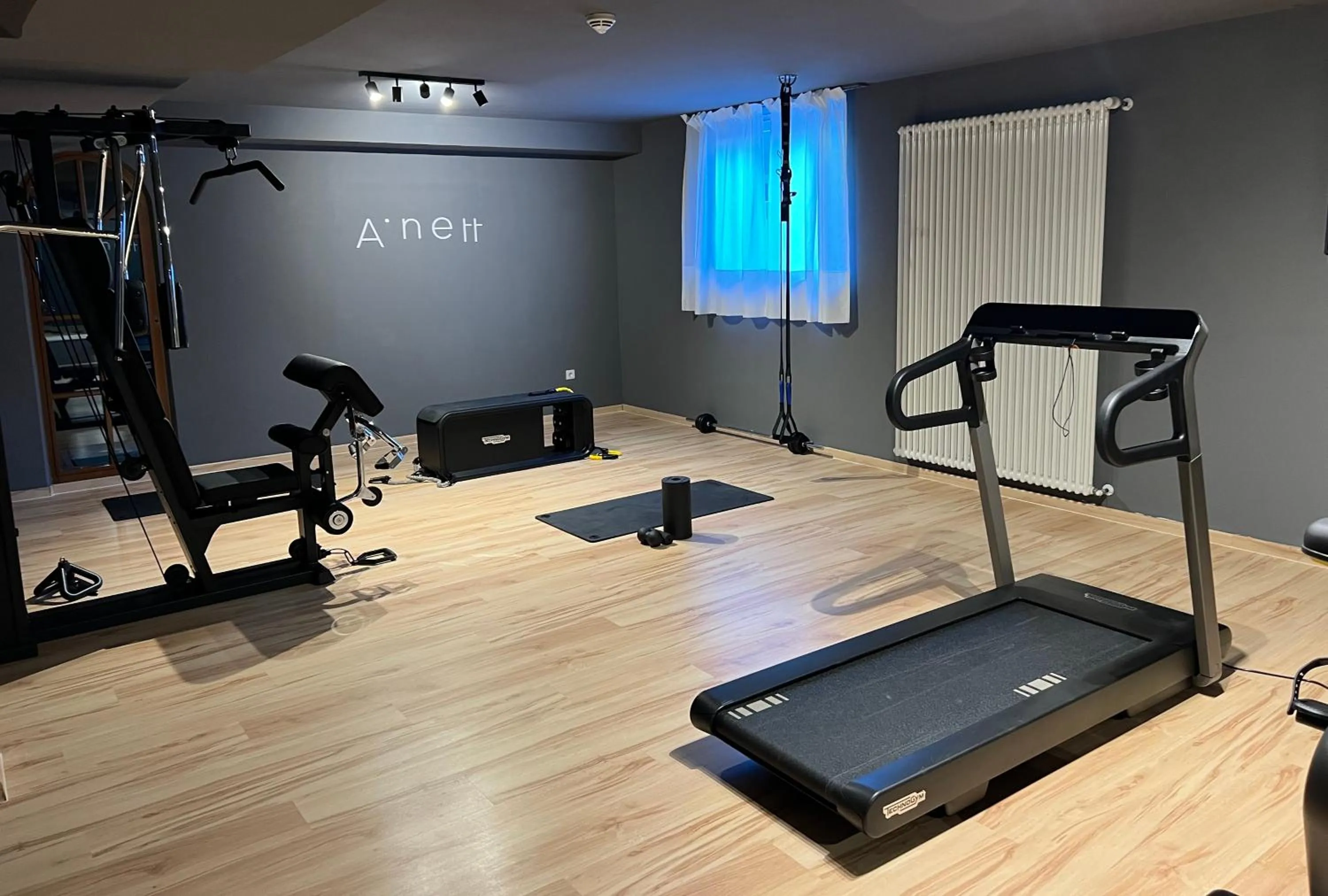 Fitness centre/facilities in Anett hotel