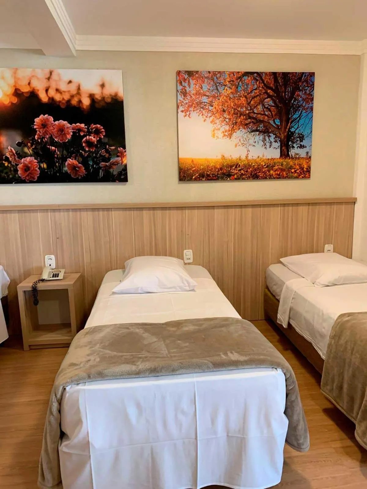 Bed in Hotel San Lucas