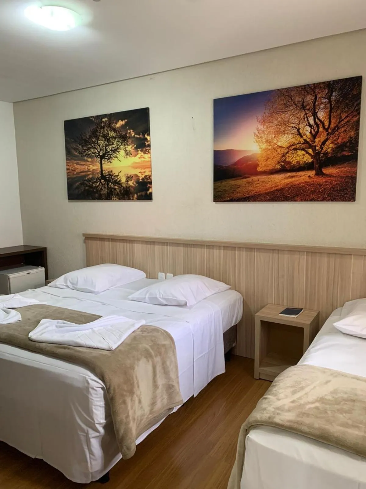 Bed in Hotel San Lucas