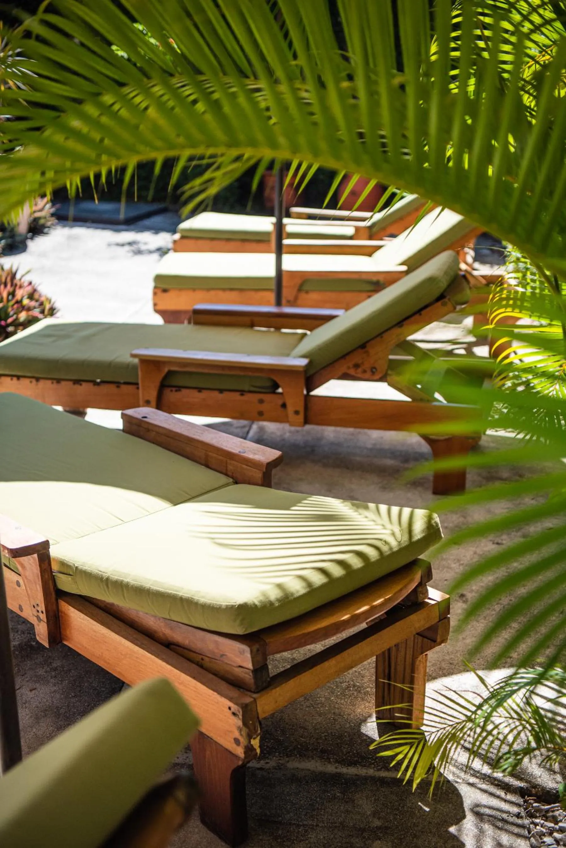 Swimming pool in Nautilus Surf & Yoga Villas Santa Teresa