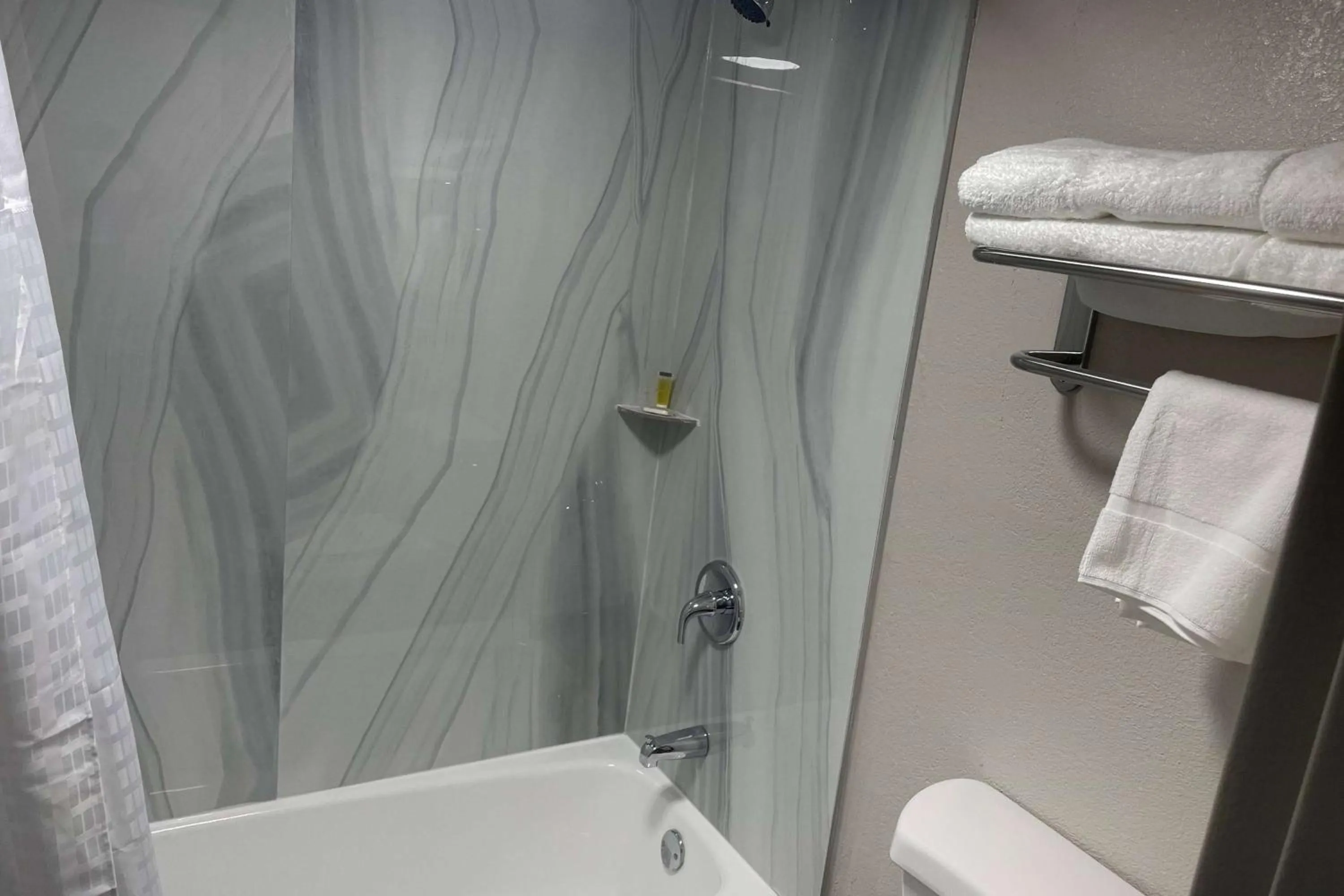 Shower in Days-Inn by Wyndham Montgomery I-85