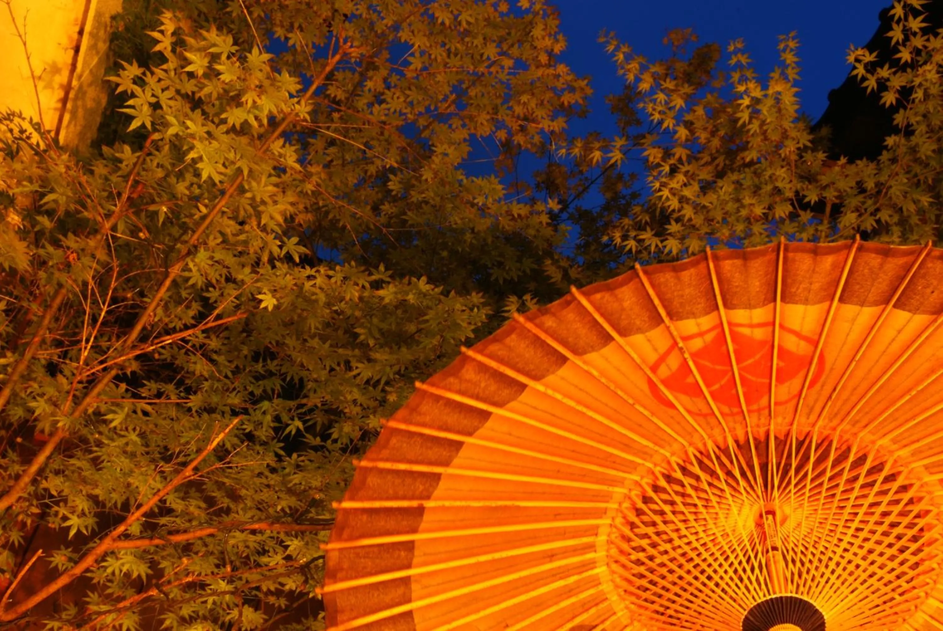 Hot Spring Bath in Kinosaki Onsen Tajimaya