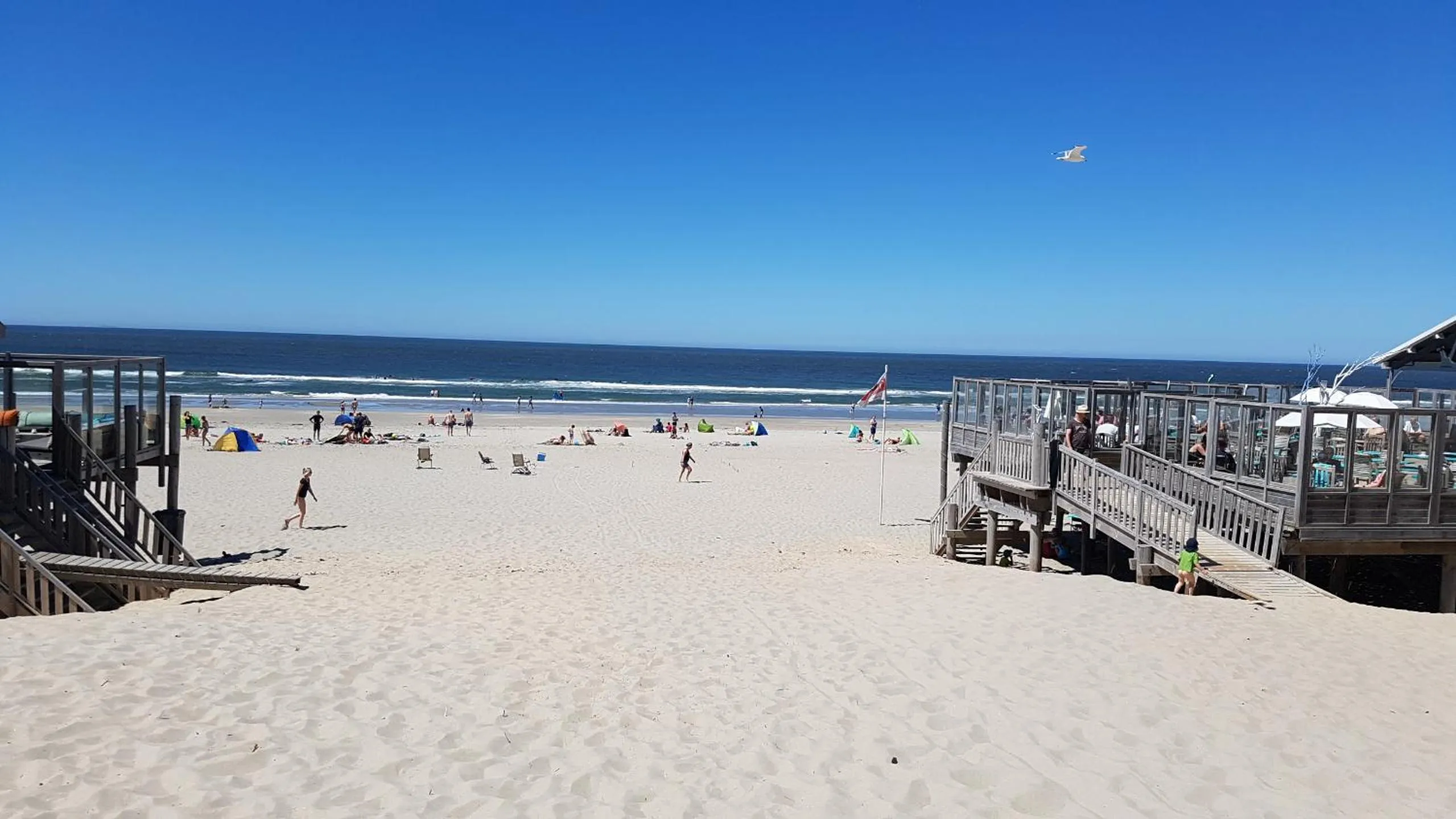 Day in Duin en Zee Texel