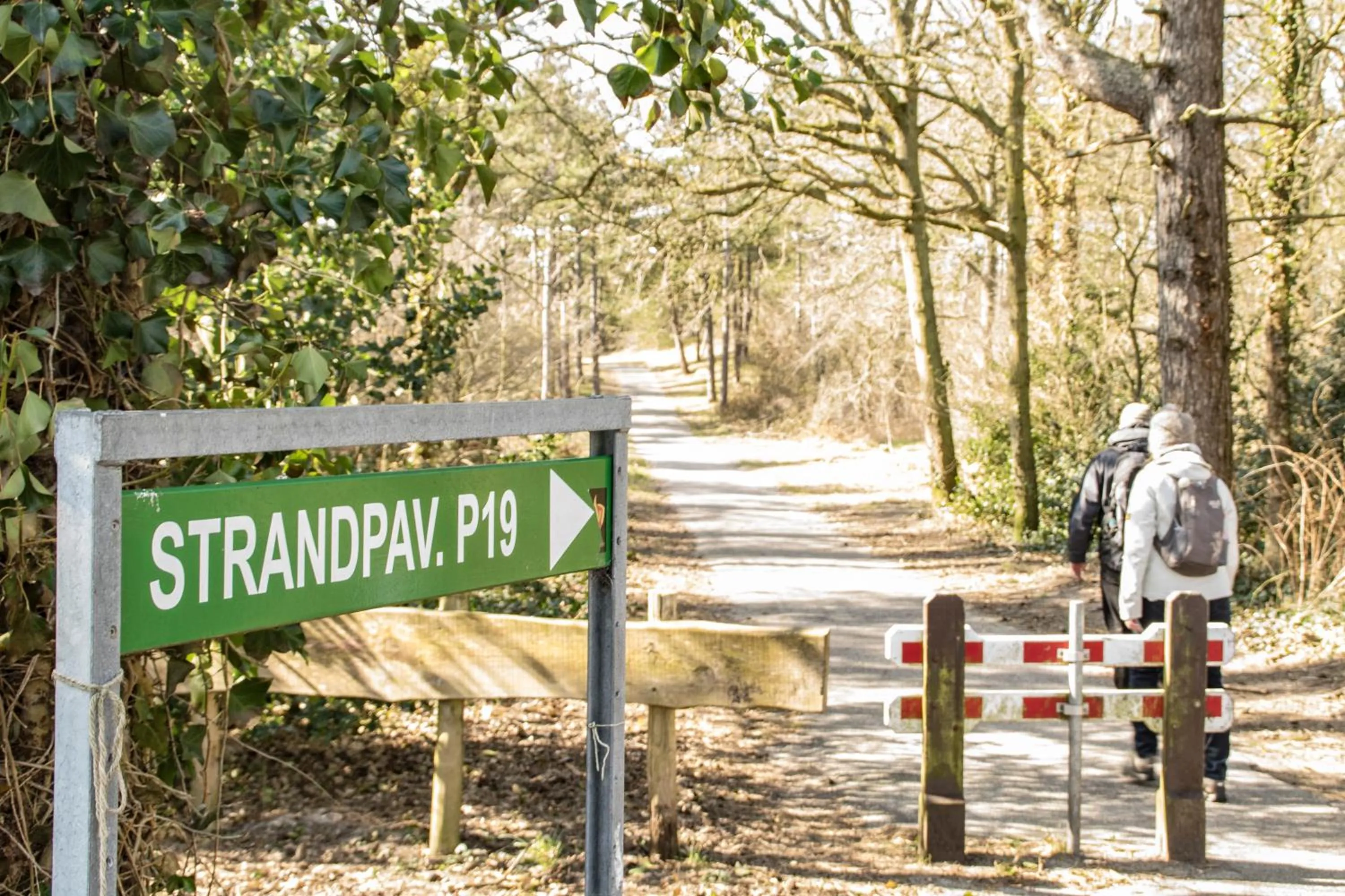 Natural landscape in Duin en Zee Texel