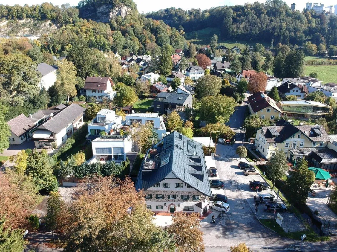 Bird's eye view in Sauerweingut