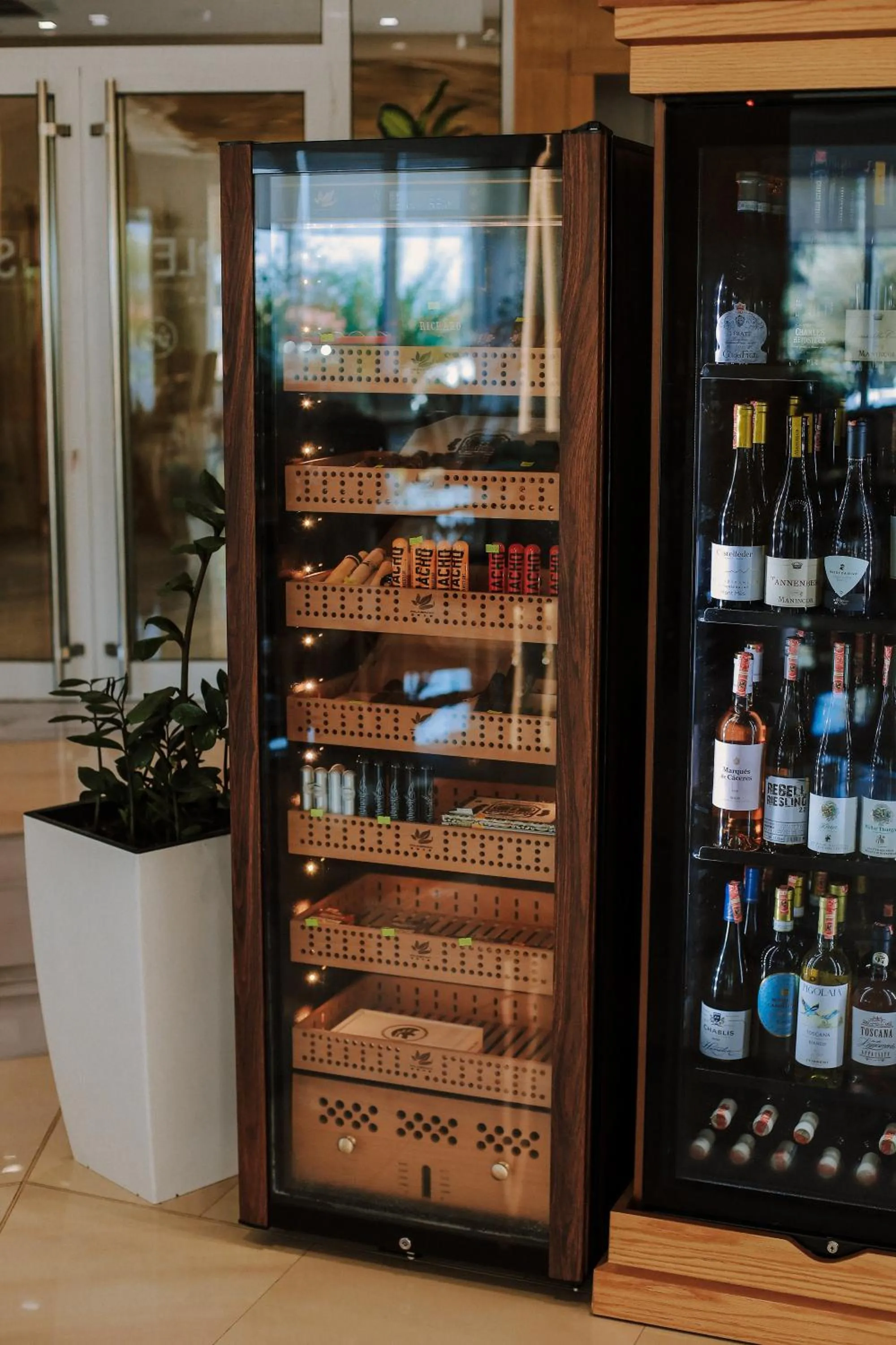 Food and drinks in Sole Luna Hotel