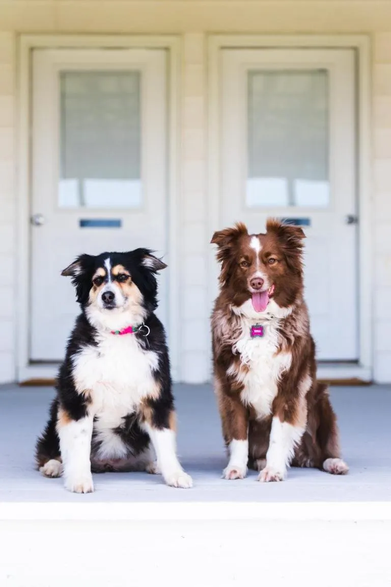 Wylder Hotel - Tilghman Island