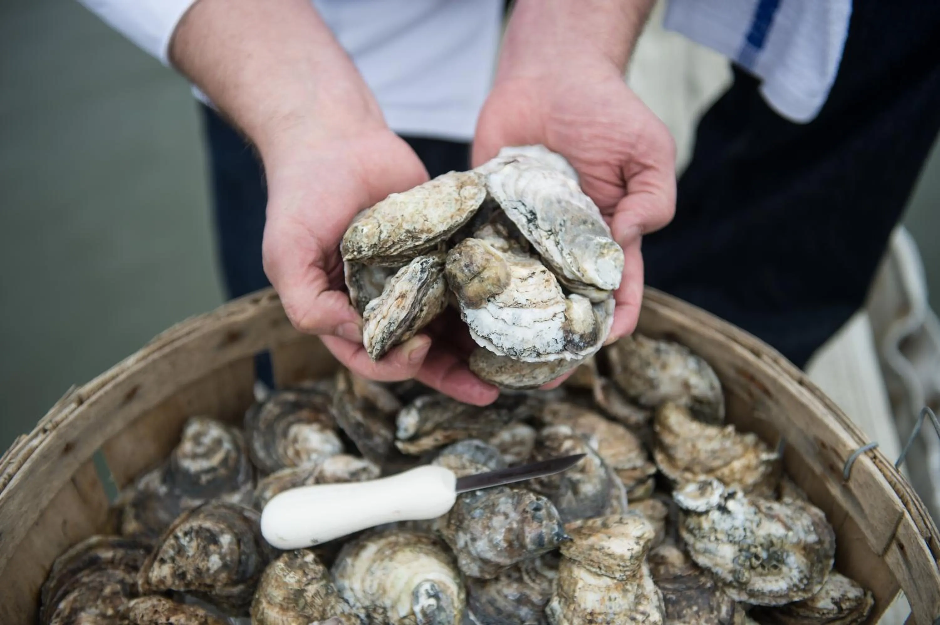 Food close-up in Wylder Hotel - Tilghman Island