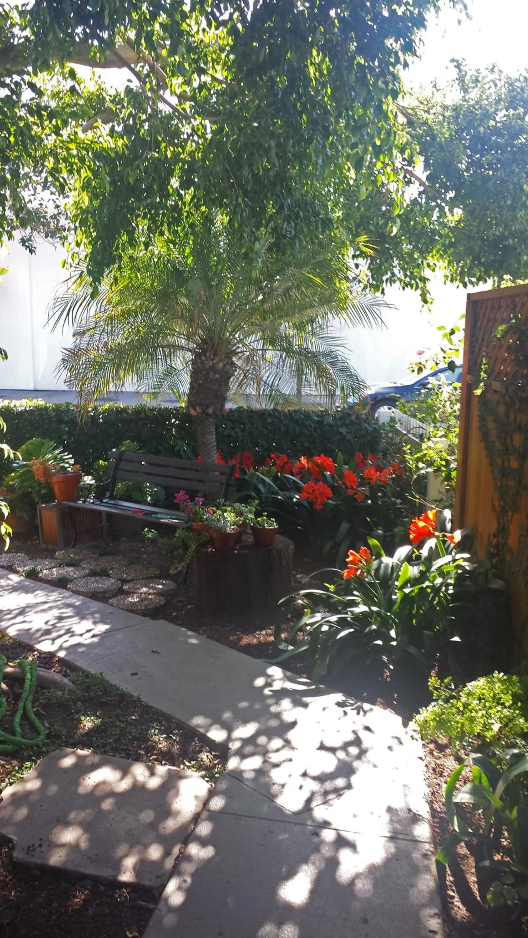 Property building in The 3 Dux