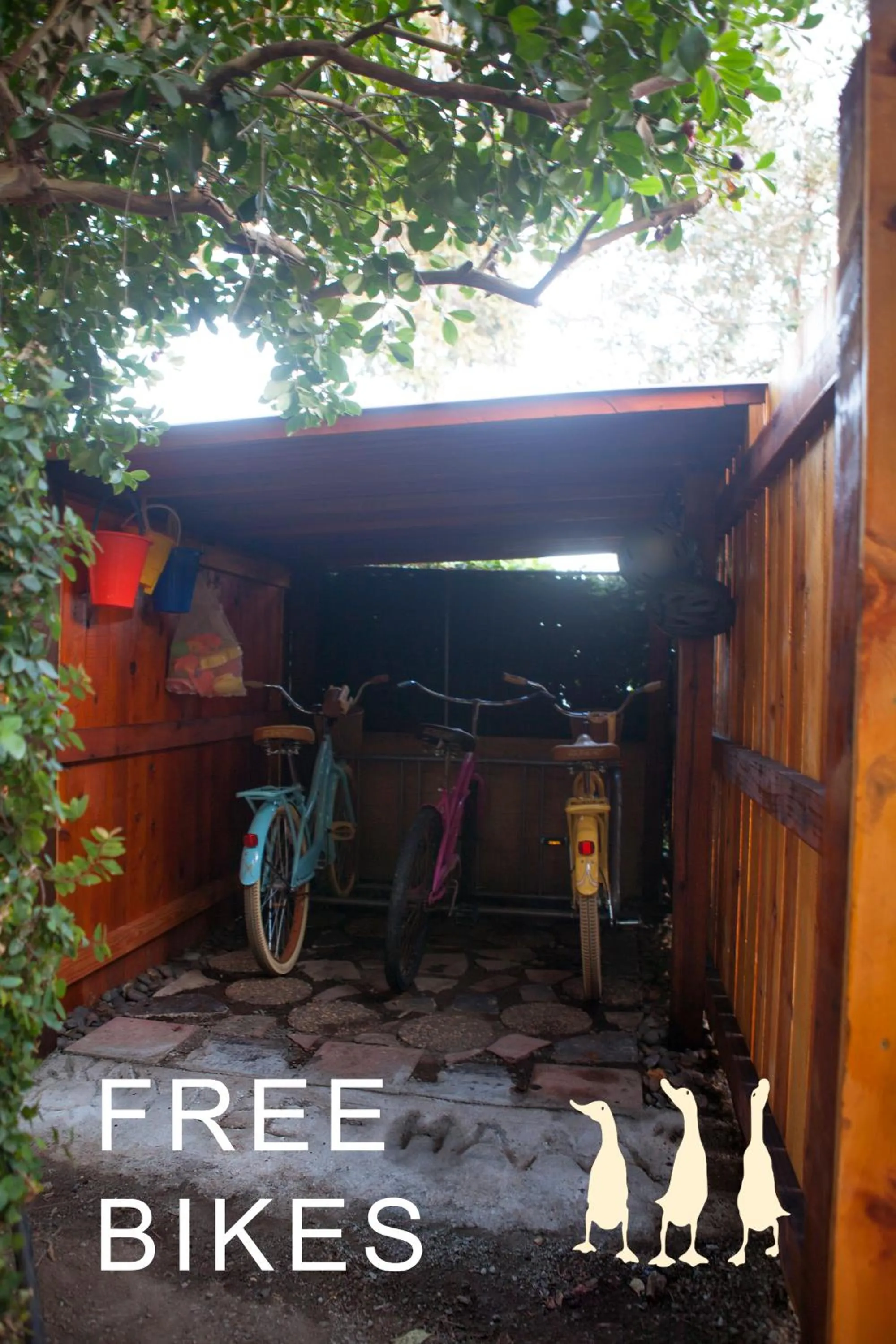 Cycling in The 3 Dux