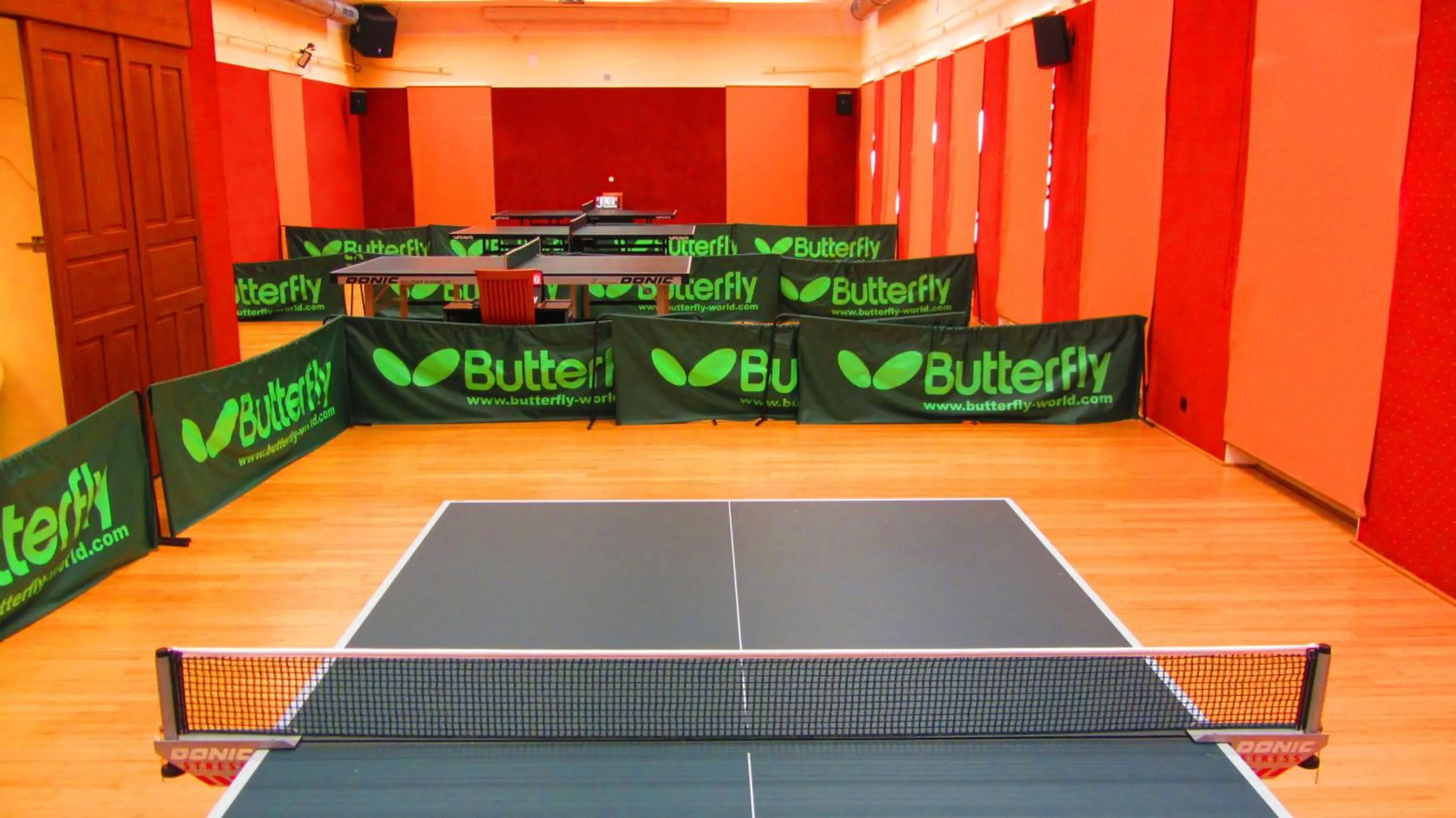 Game Room in Wellness & Sport Hotel TTC