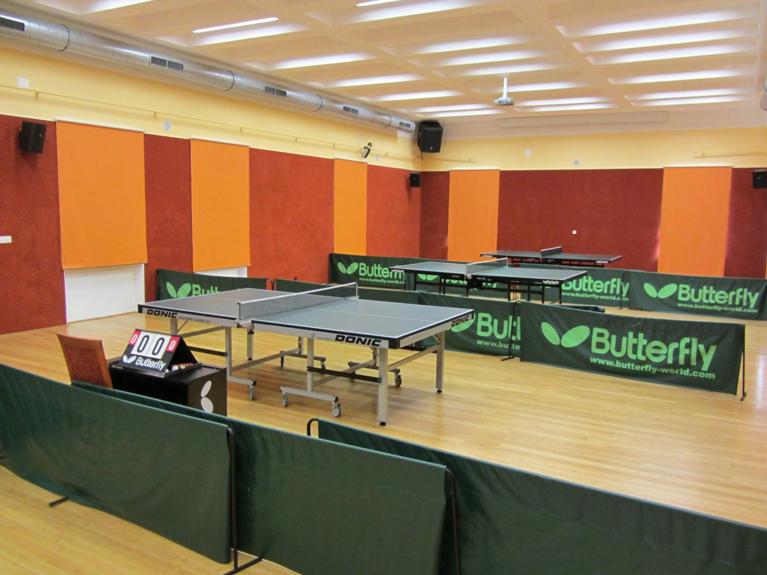 Table tennis in Wellness & Sport Hotel TTC