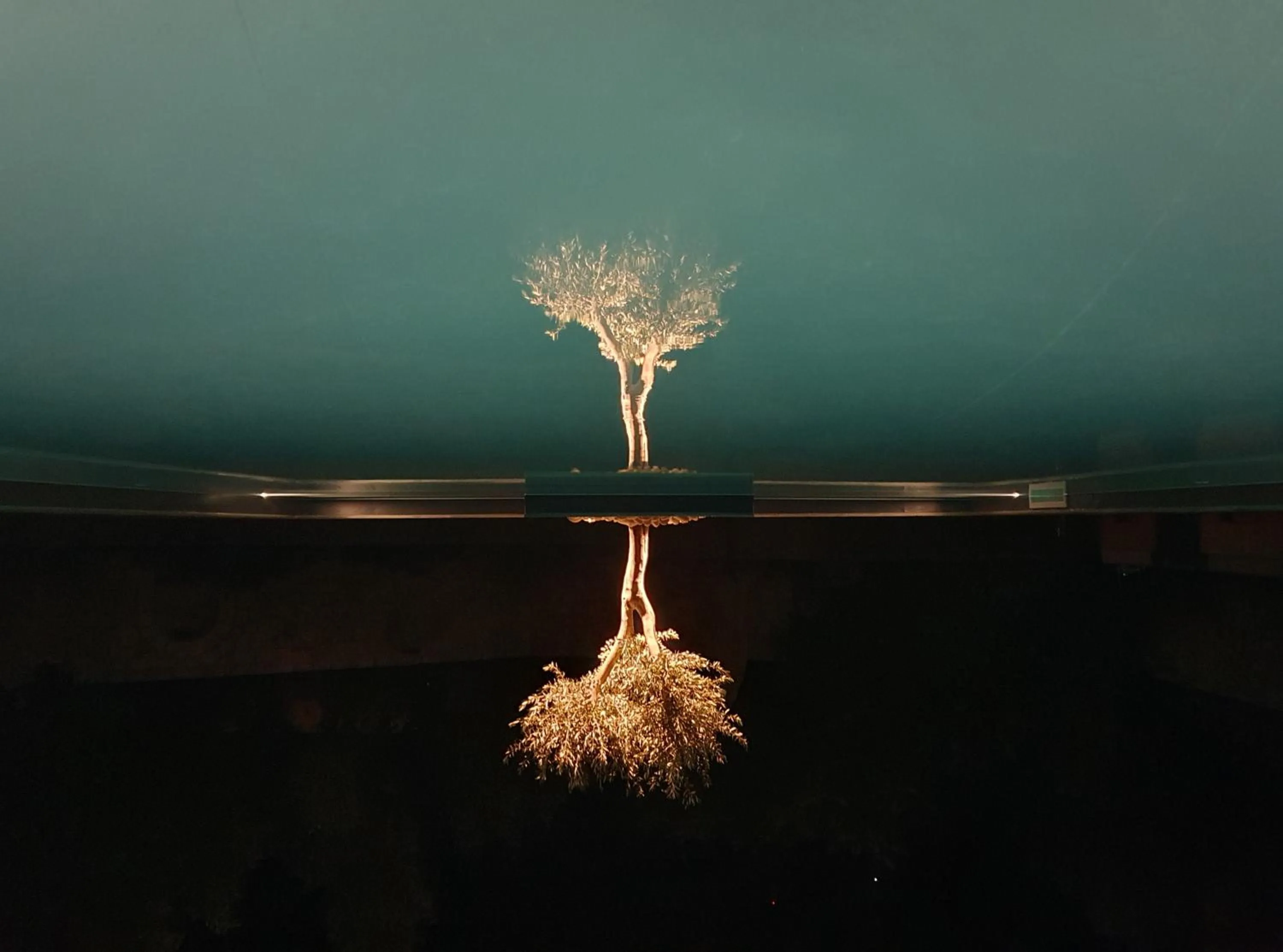 Decorative detail in Areos Polis Boutique Hotel