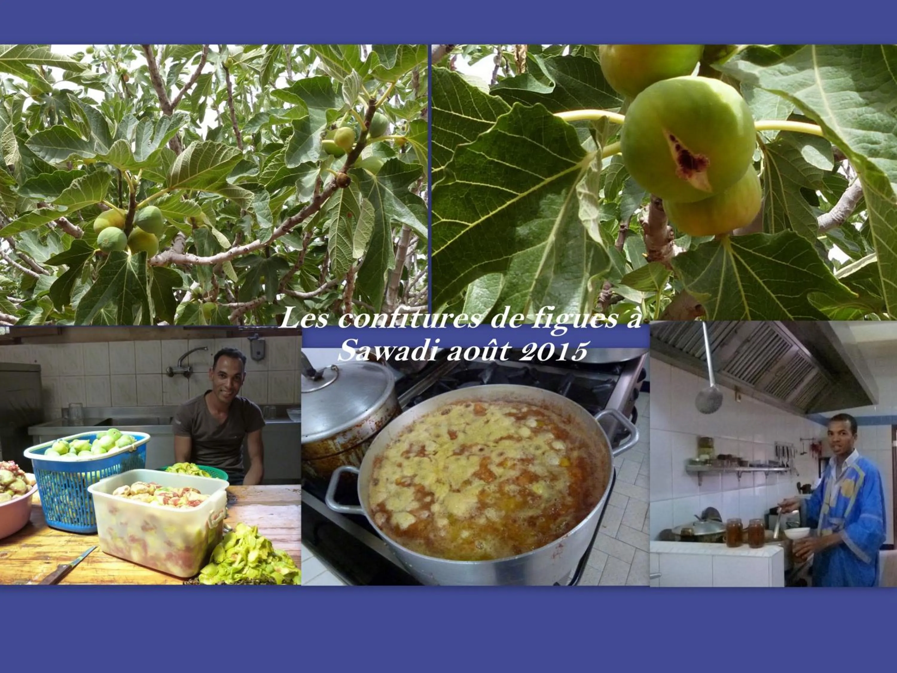 Food in Sawadi Ecolodge