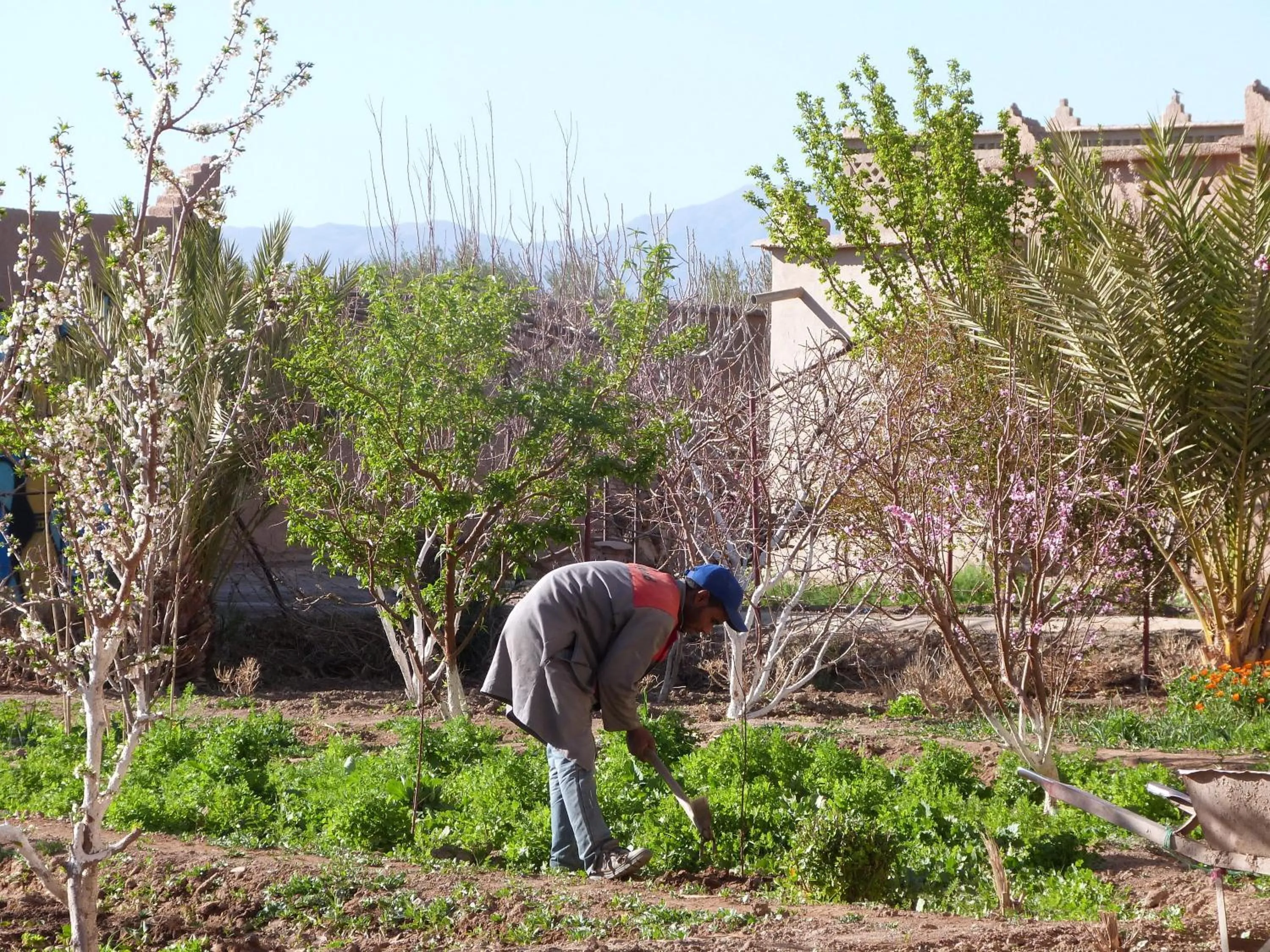 Staff in Sawadi Ecolodge