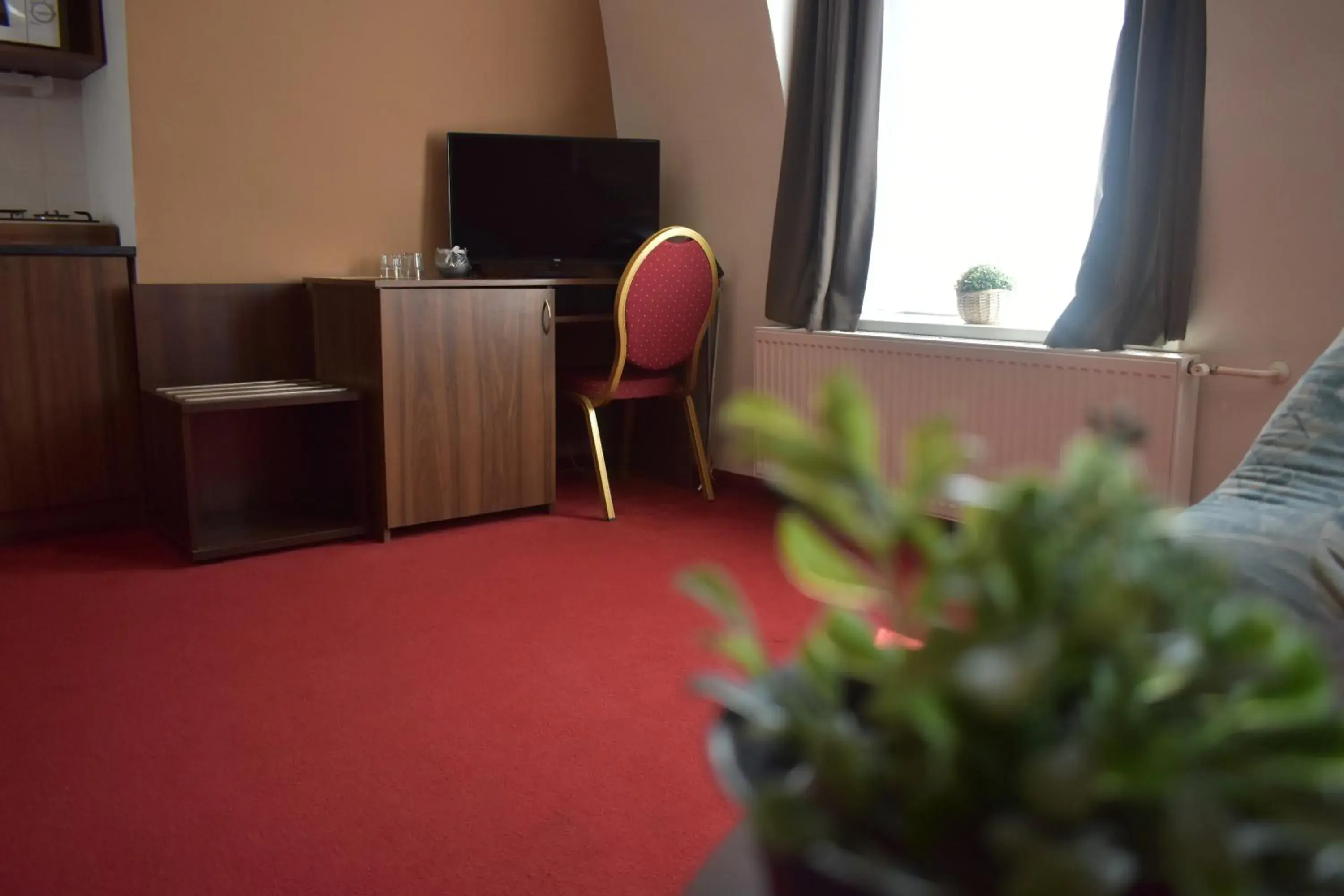 Comfort Double or Twin Room - single occupancy in Hotel Černý Orel Žatec Comfort Double or Twin Room - single occupancy in Hotel Černý Orel Žatec