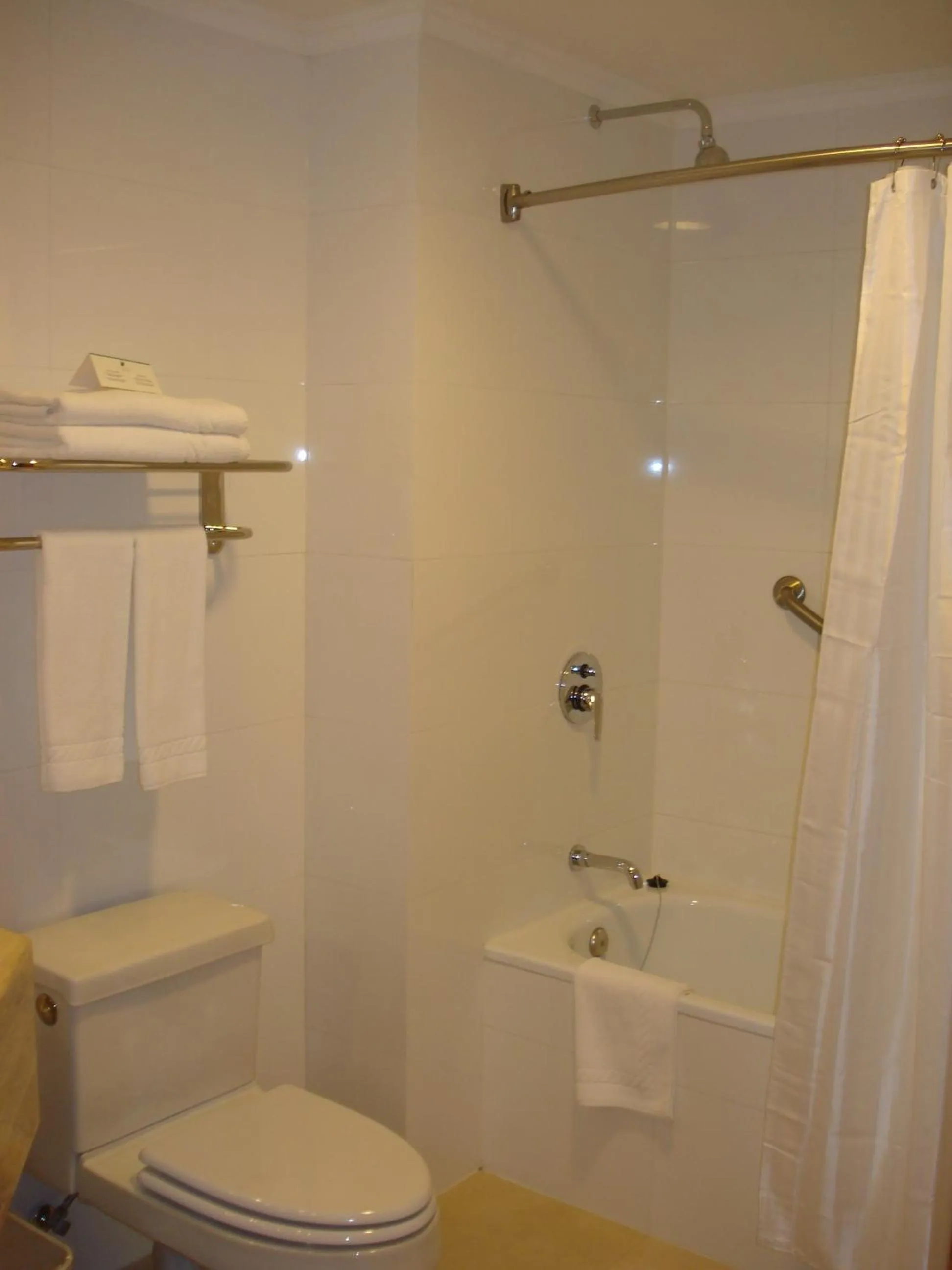 Shower in Hotel Diego de Almagro Lomas Verdes