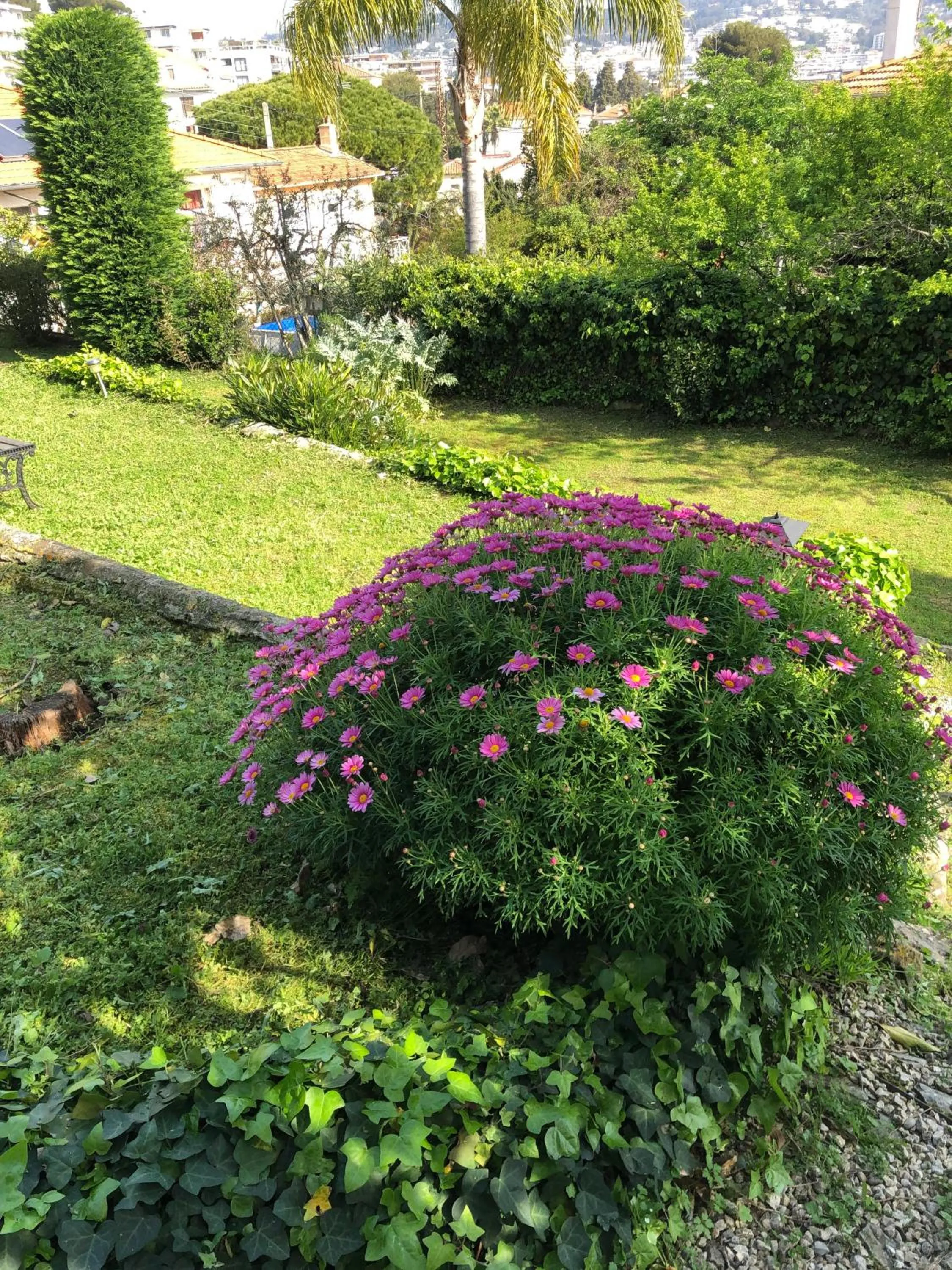 Garden in Bed & Breakfast Chambres d'hôtes COTTAGE BELLEVUE