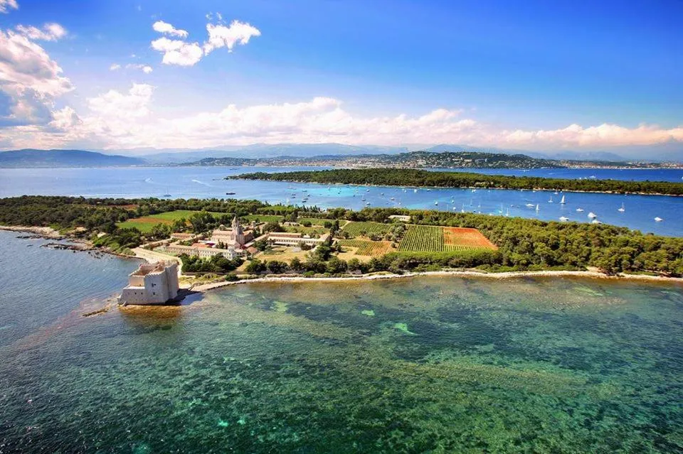Natural landscape in Bed & Breakfast Chambres d'hôtes COTTAGE BELLEVUE