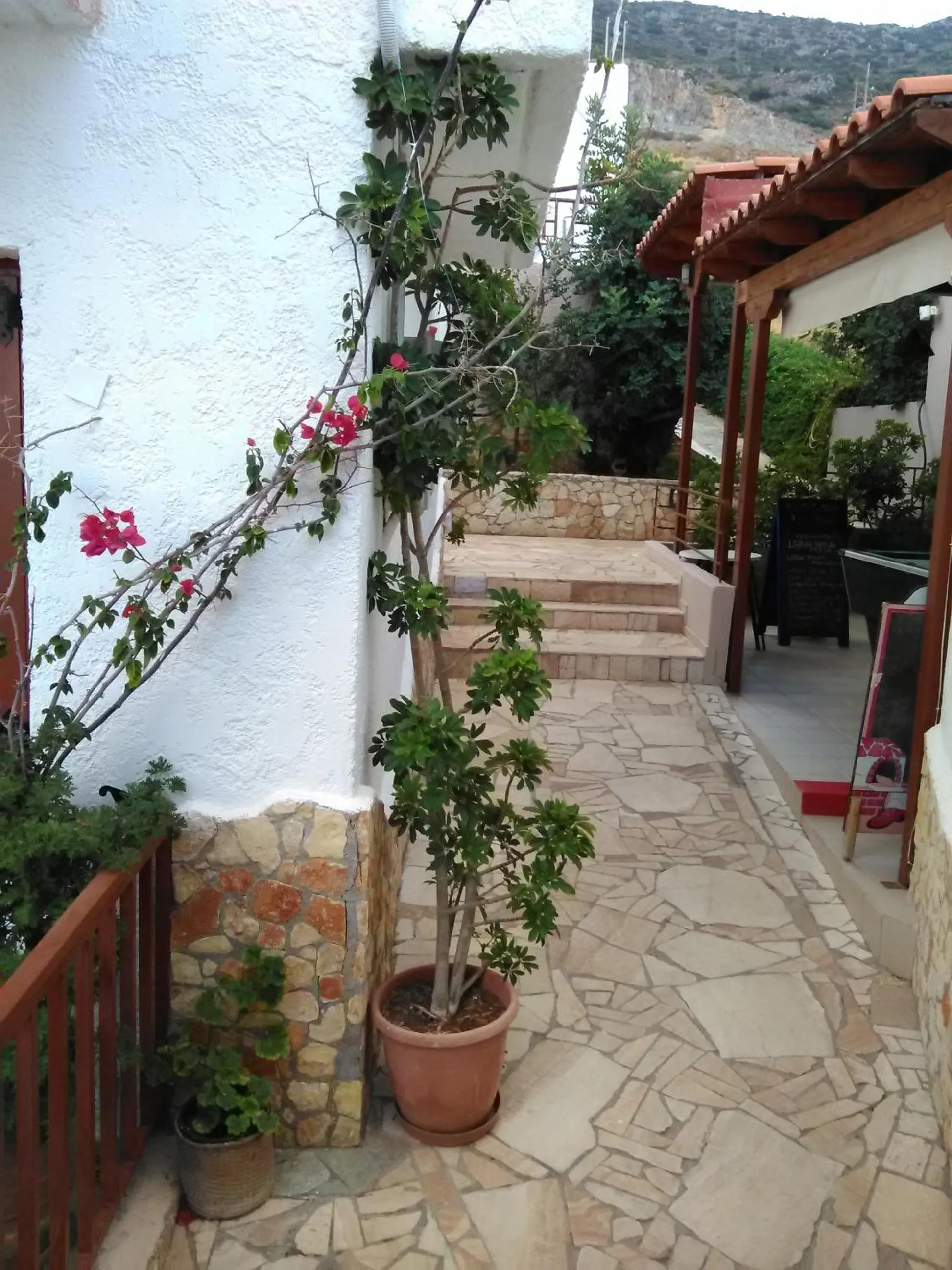 Patio in Elgoni Apartments