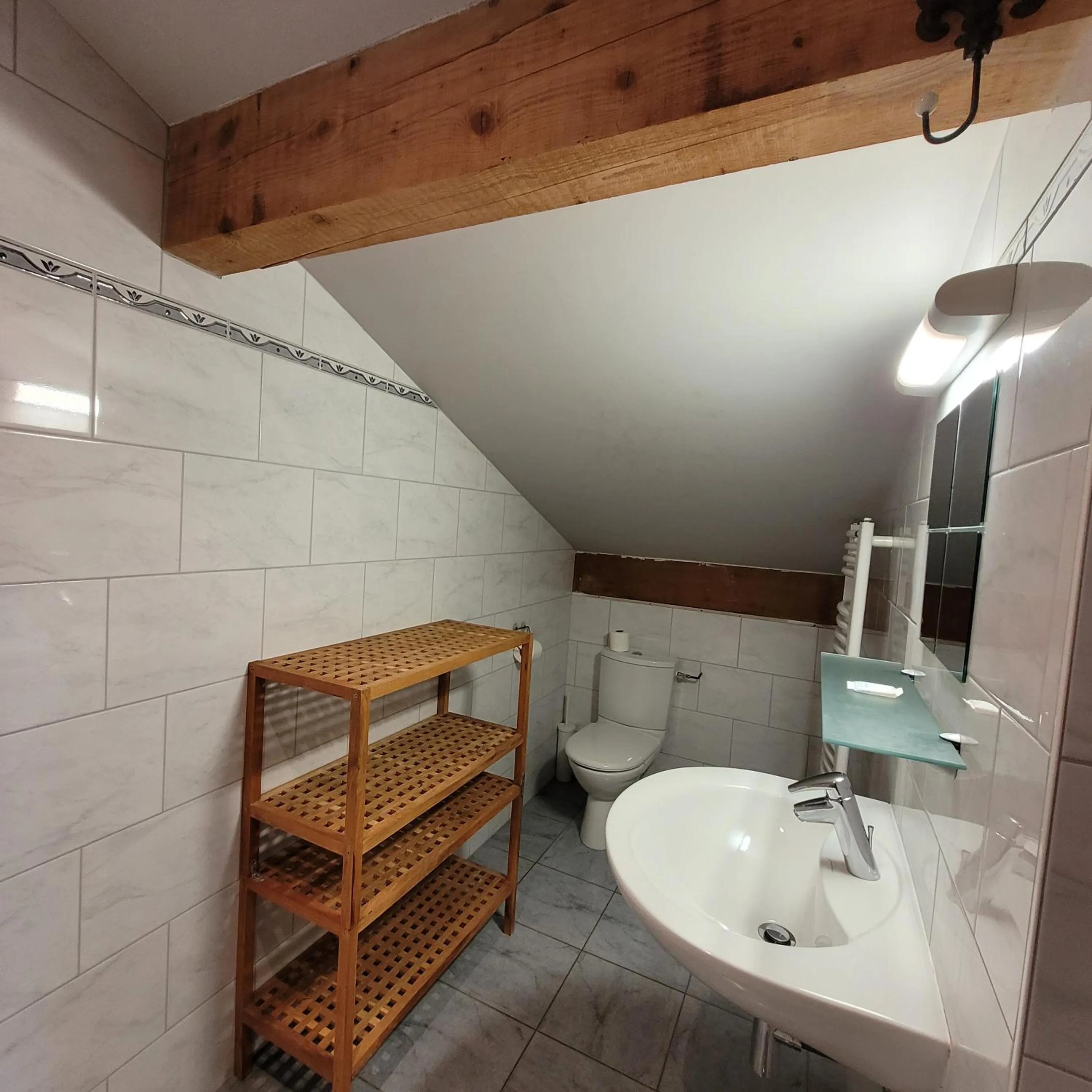 Toilet in Hotel du lac des Corbeaux