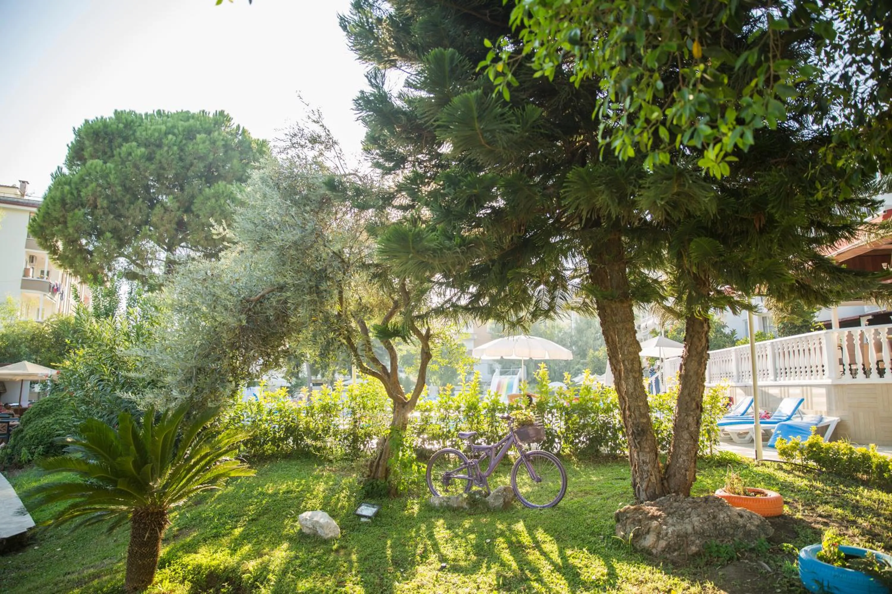 Garden in Halıcı Hotel Marmaris