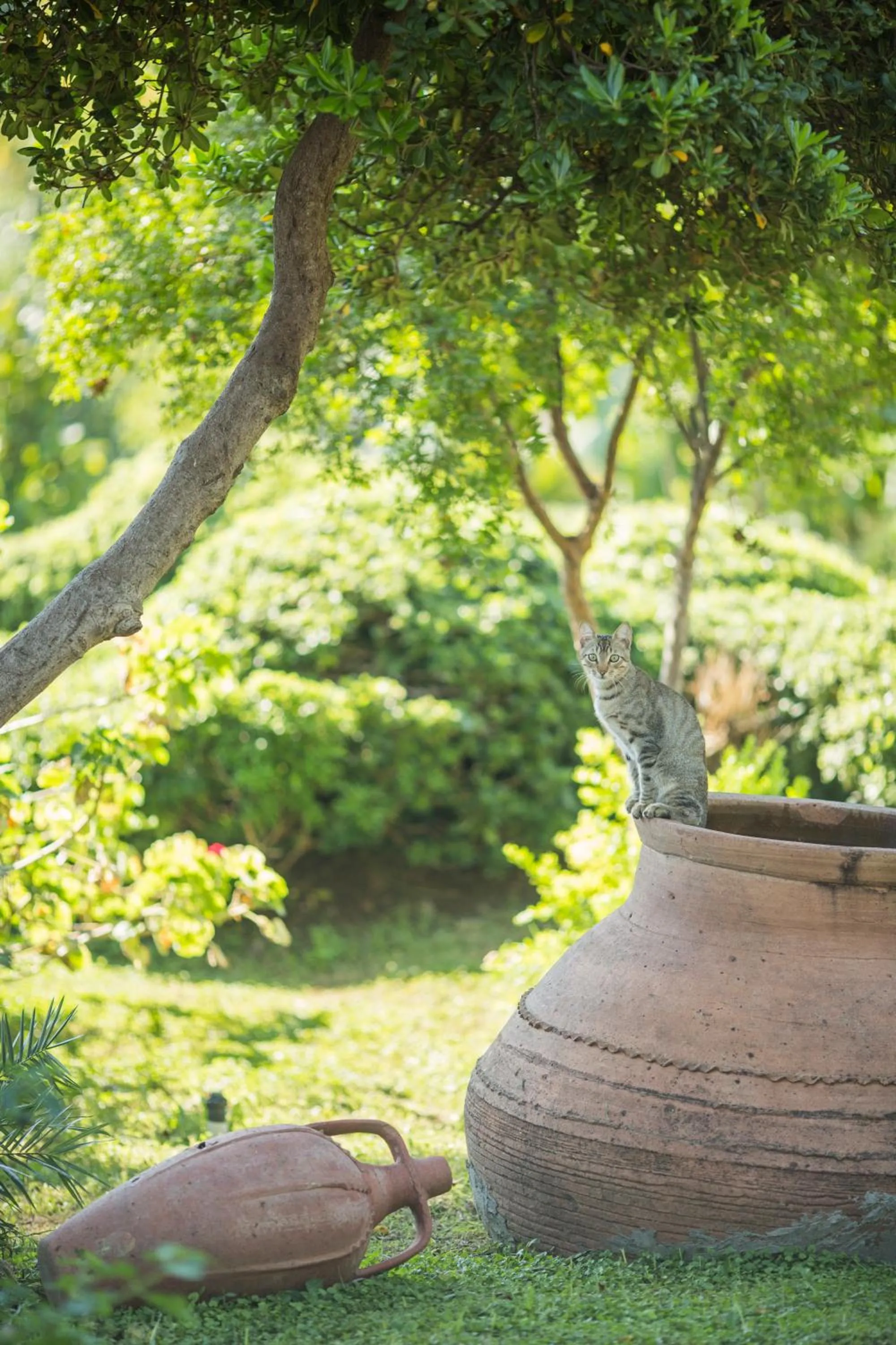 Garden view in Halıcı Hotel Marmaris