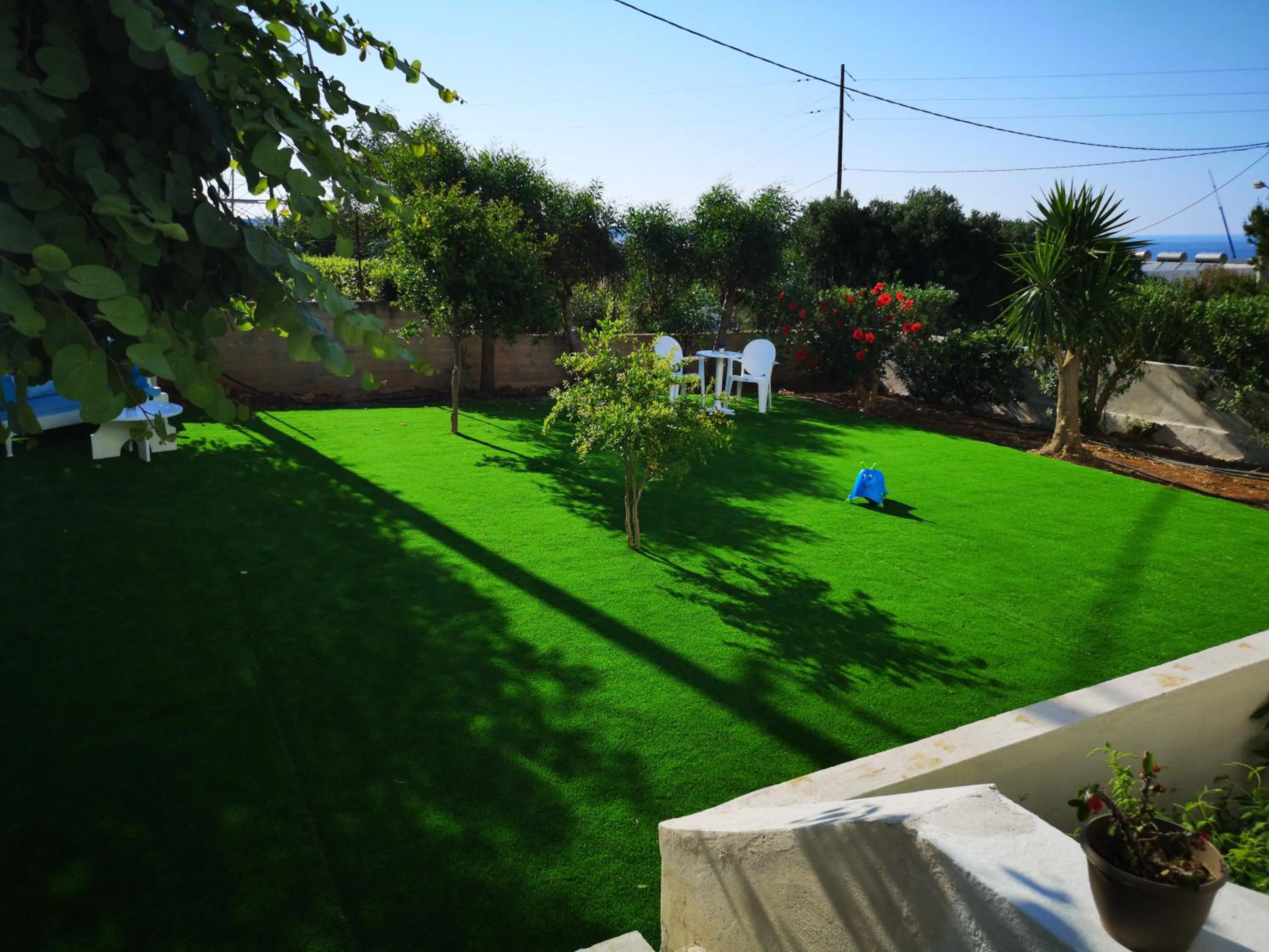 Garden in Dimitra Hotel