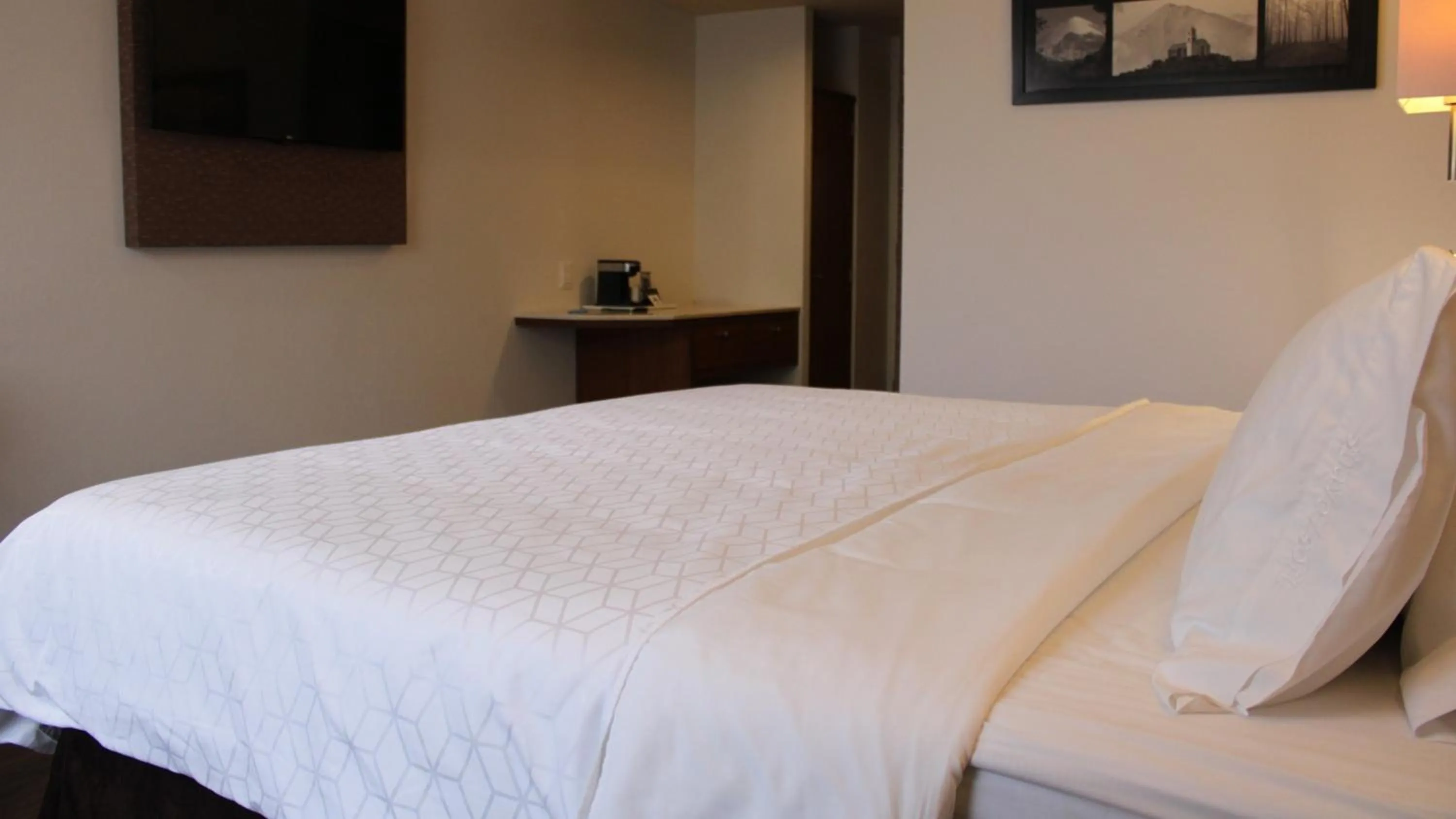 Photo of the whole room, Bed in Holiday Inn Orizaba by IHG