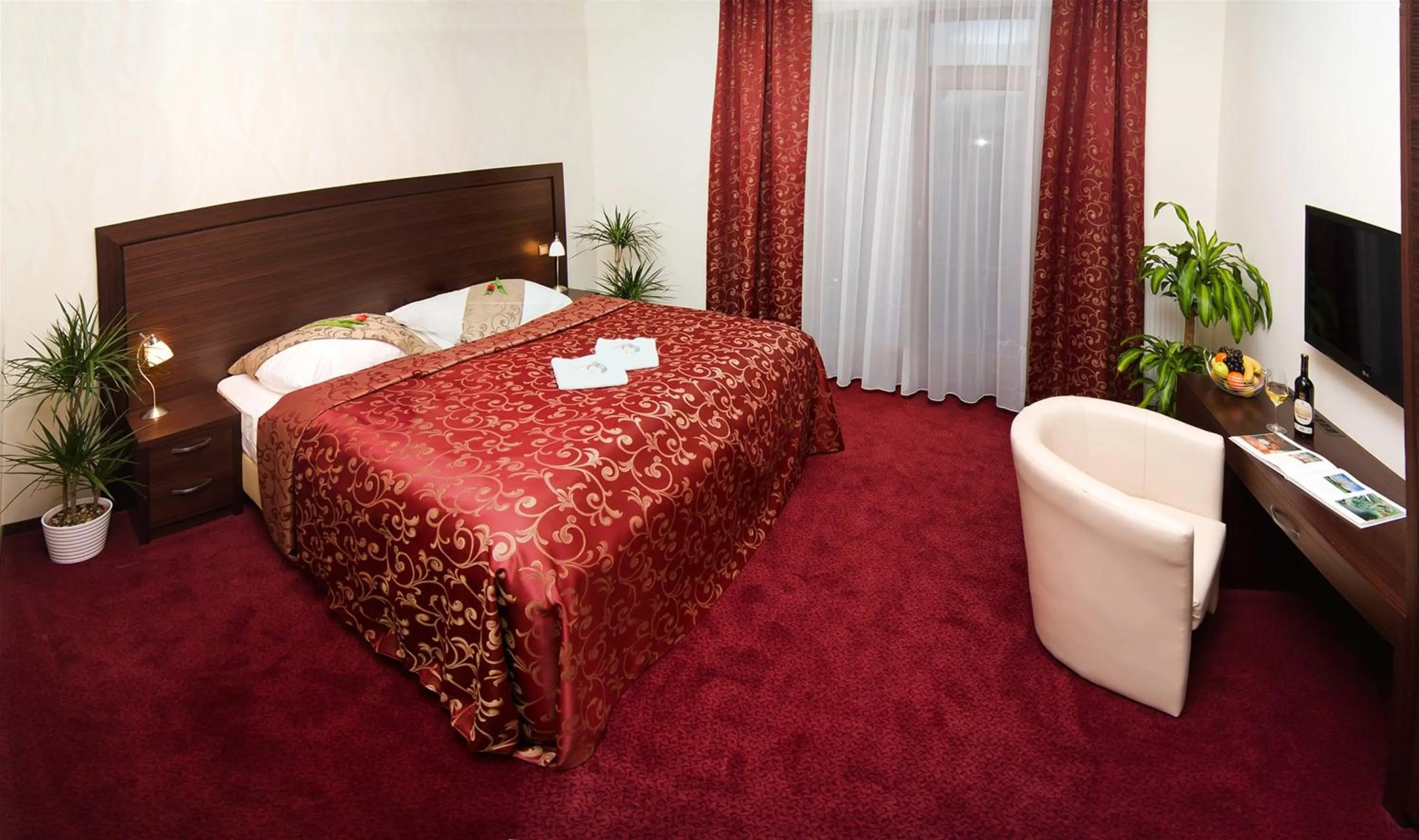 Photo of the whole room in Hotel Princess