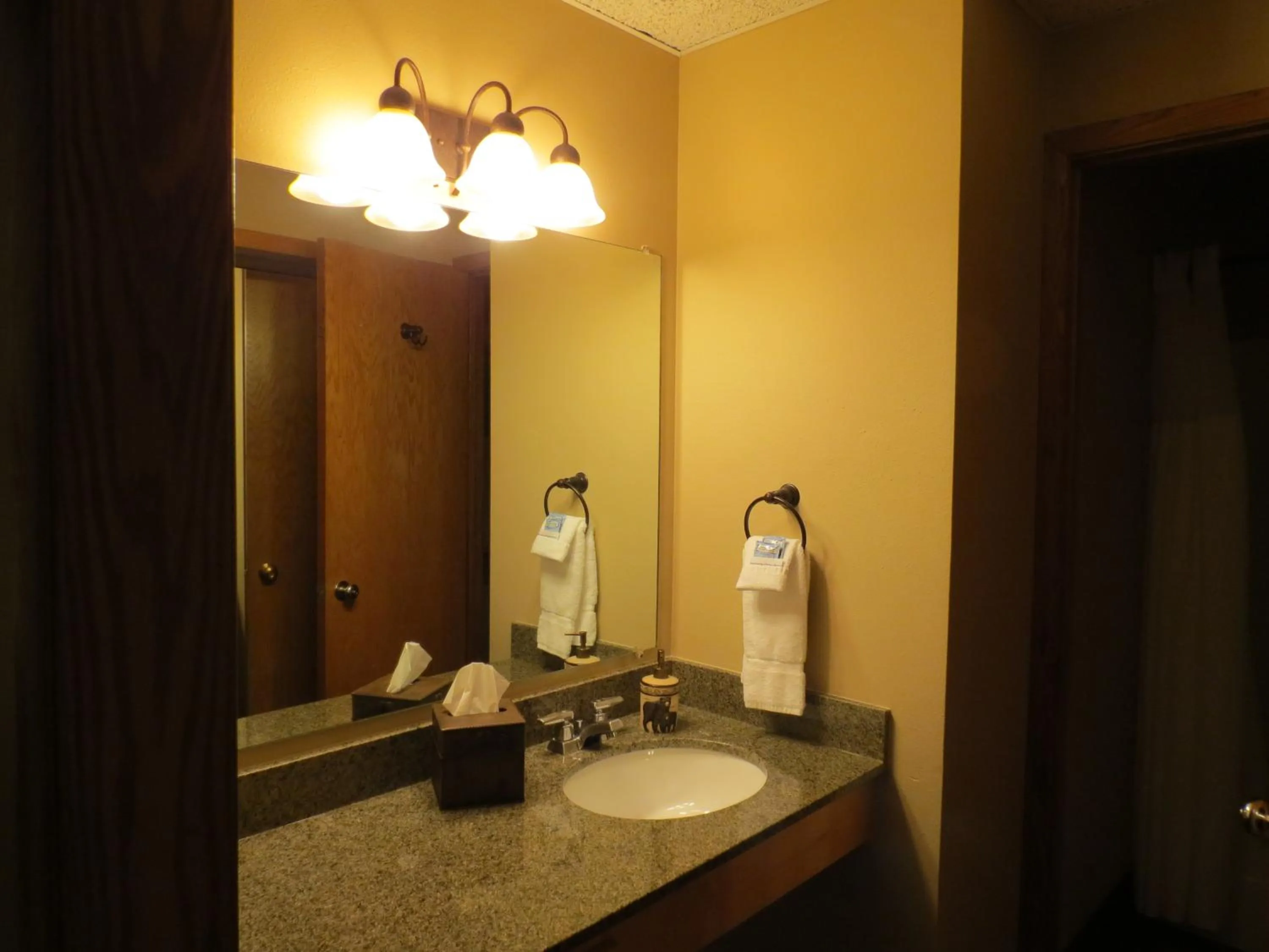 Bathroom in Stoneridge Resort