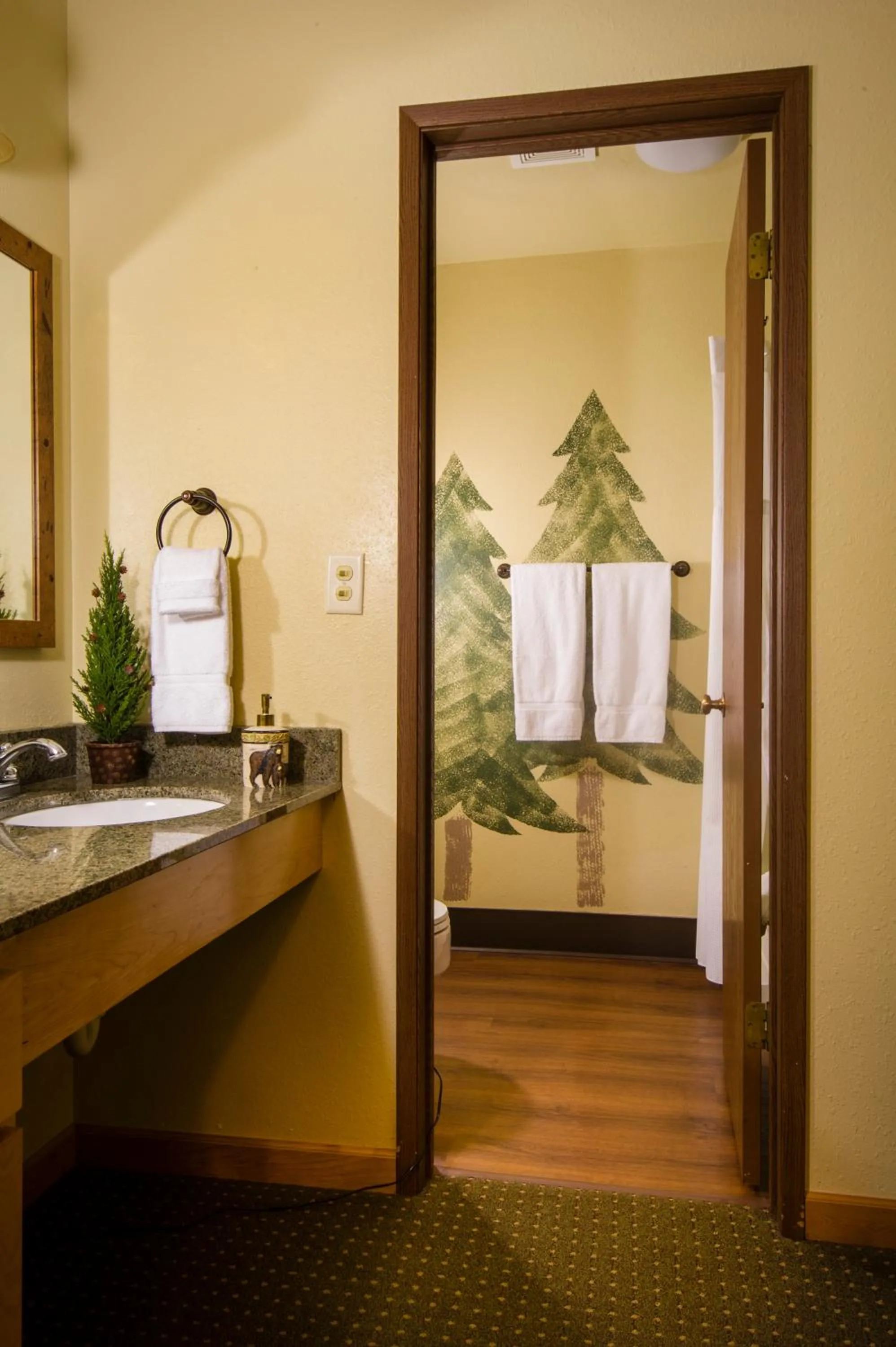 Bathroom in Stoneridge Resort