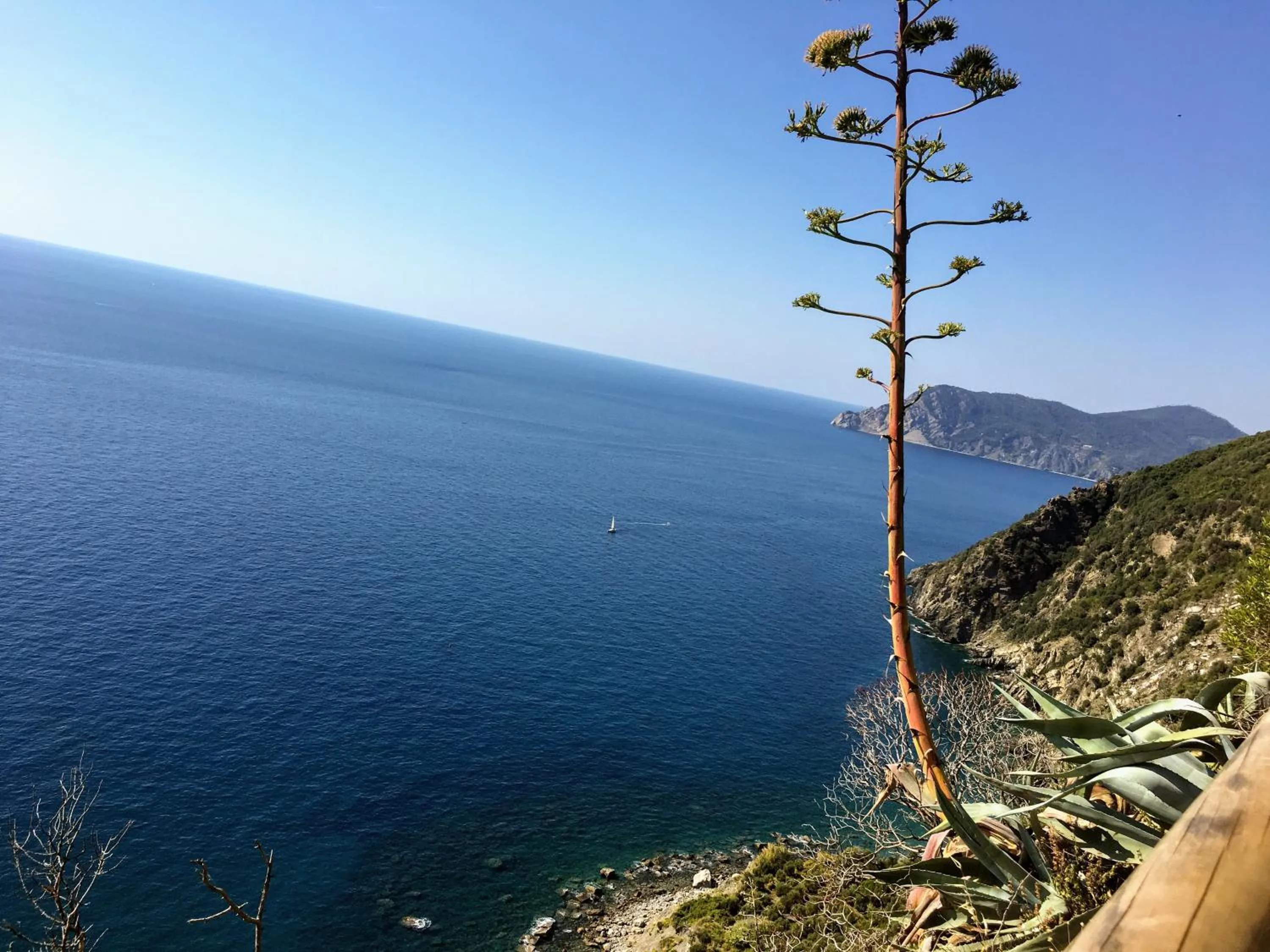 Spring in Cavallotti 21