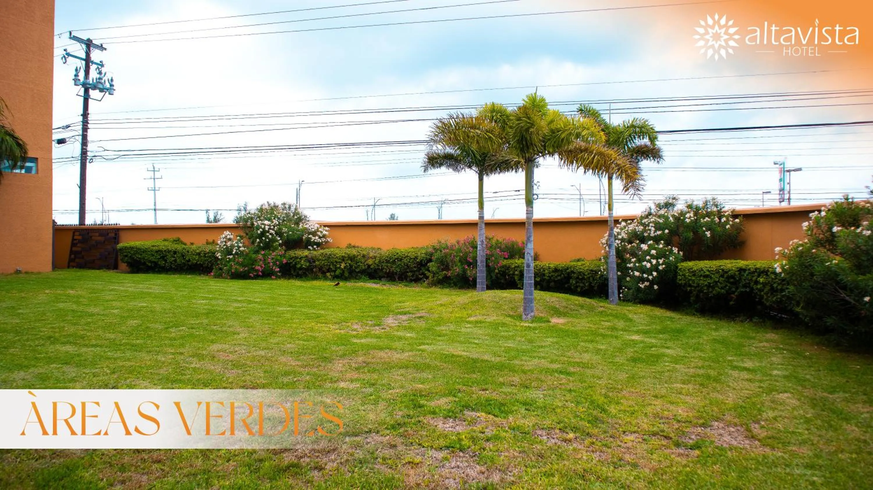 Garden view in Altavista Hotel