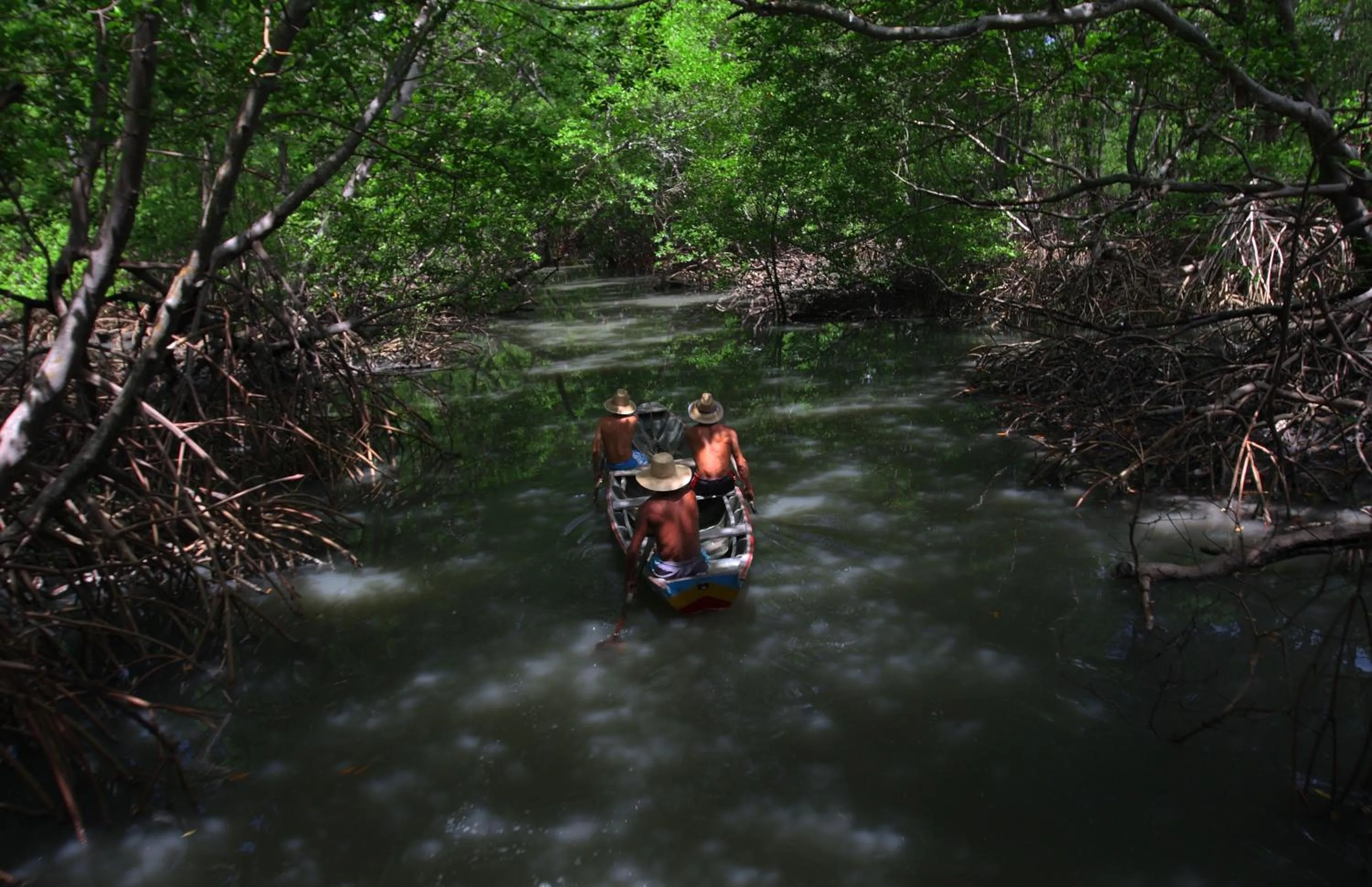 Area and facilities in Pousada Jagatá