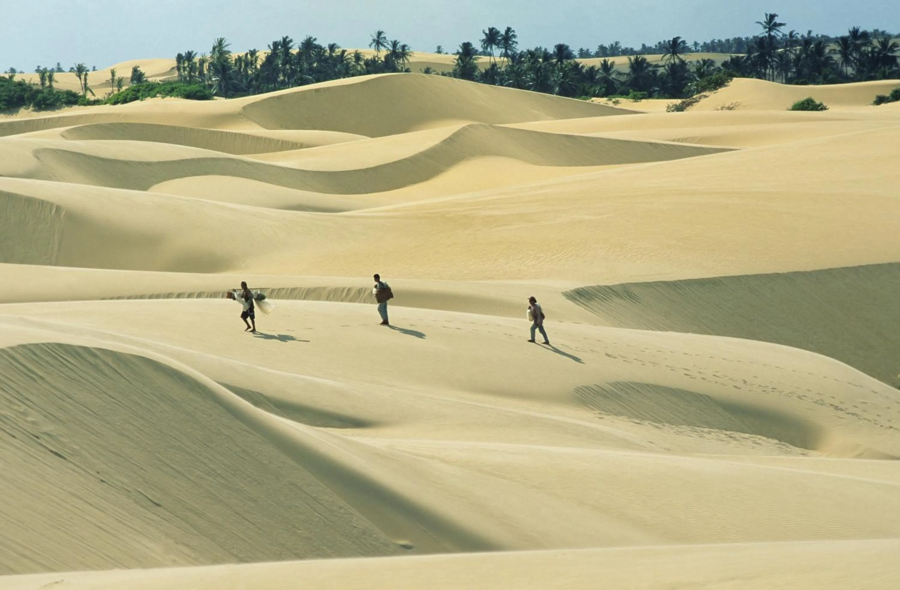 Area and facilities in Pousada Jagatá