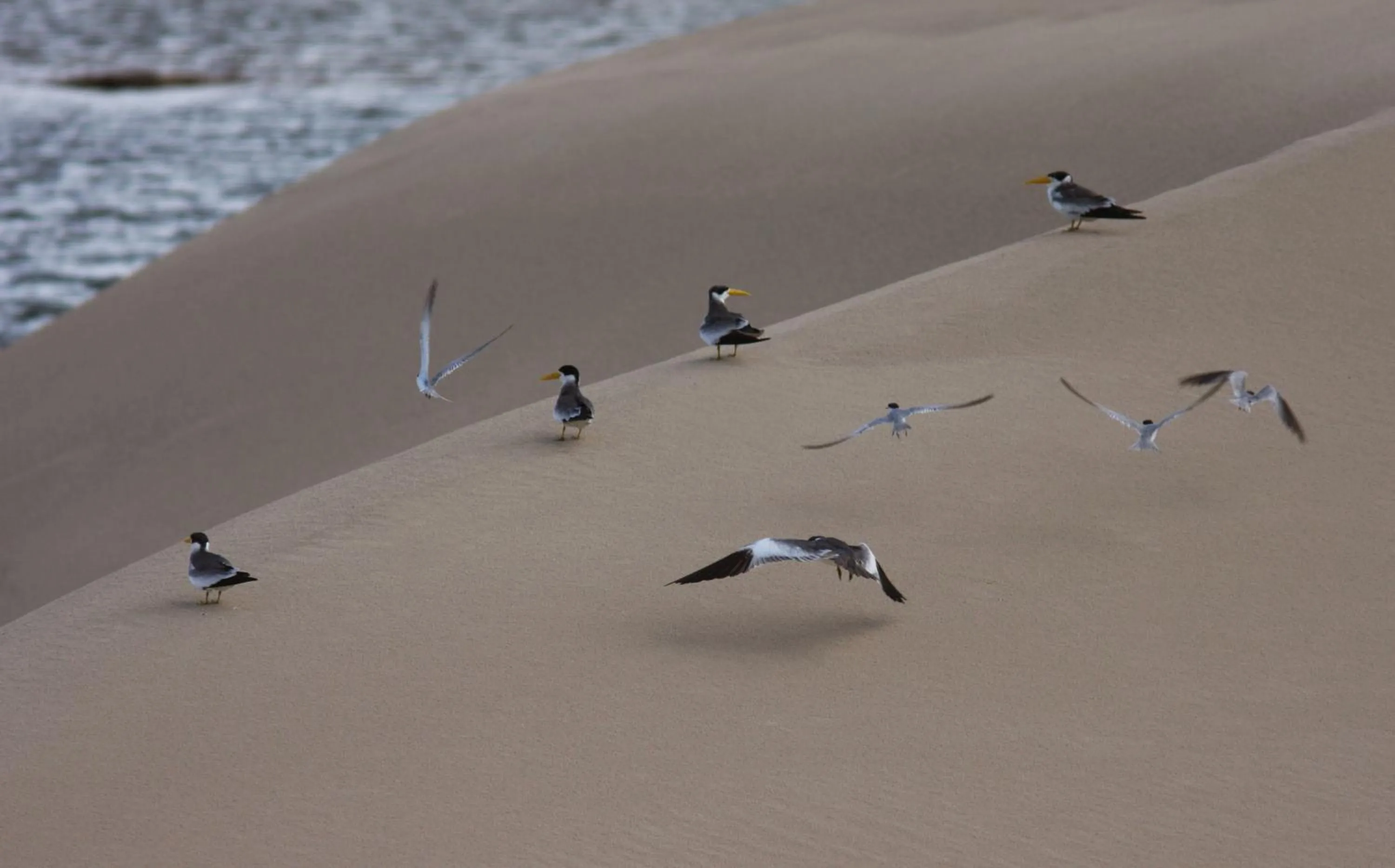 Area and facilities in Pousada Jagatá