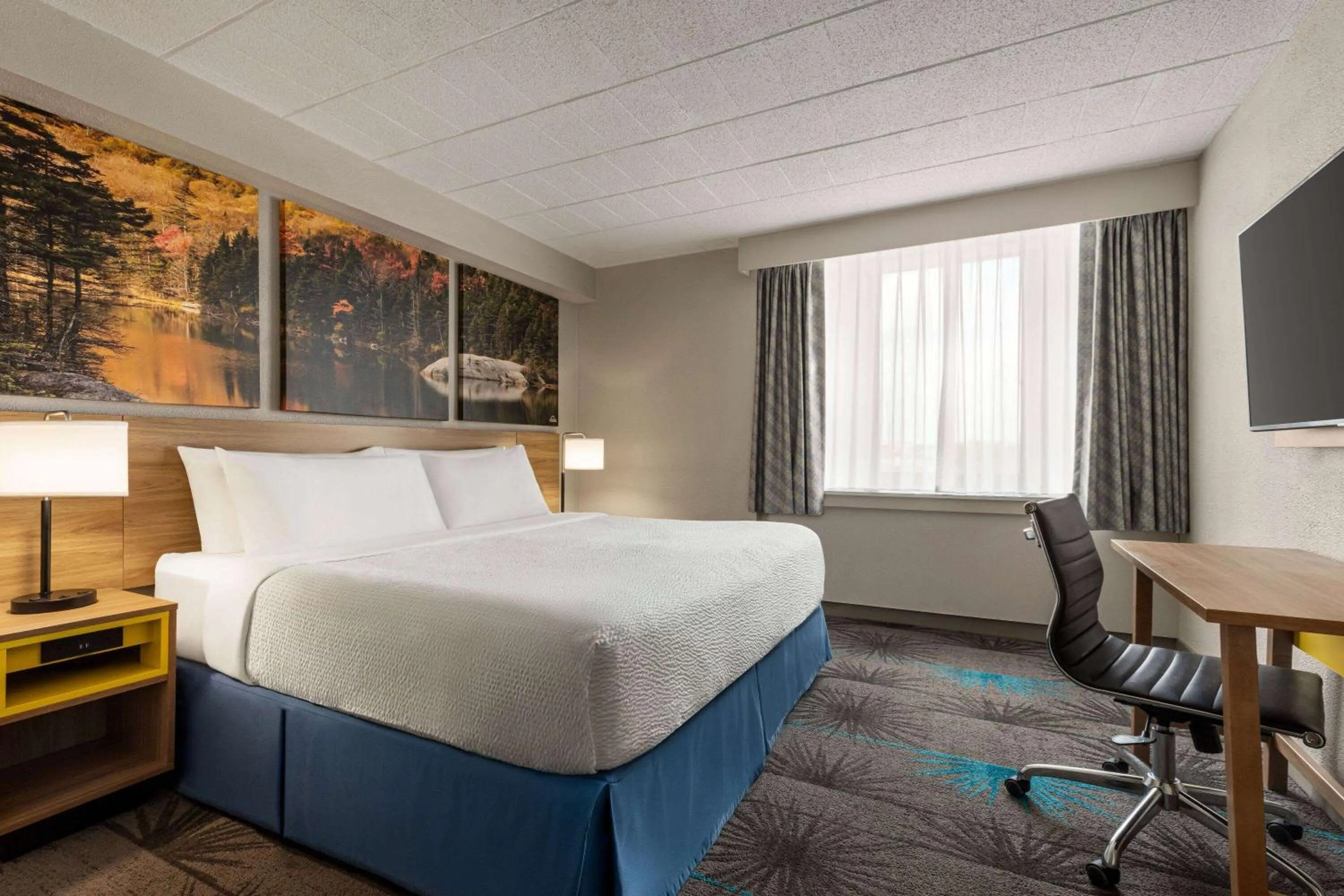 Bed in Days Hotel by Wyndham Allentown Airport / Lehigh Valley