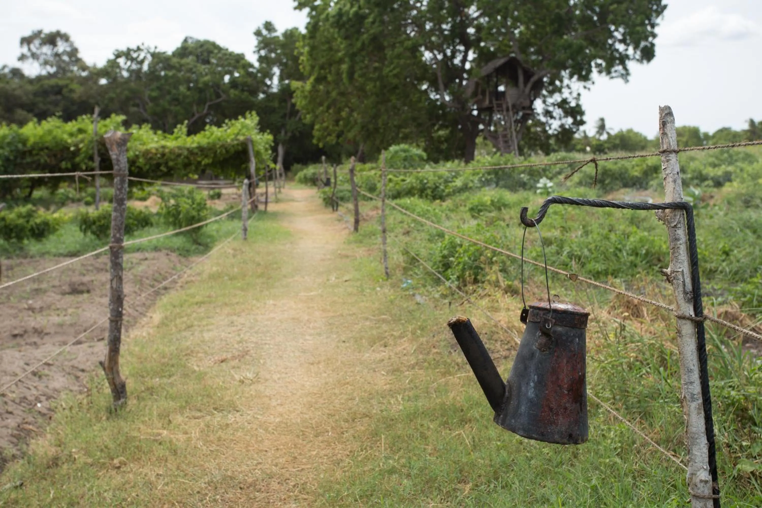 Area and facilities in Nilaveli Beach Hotel