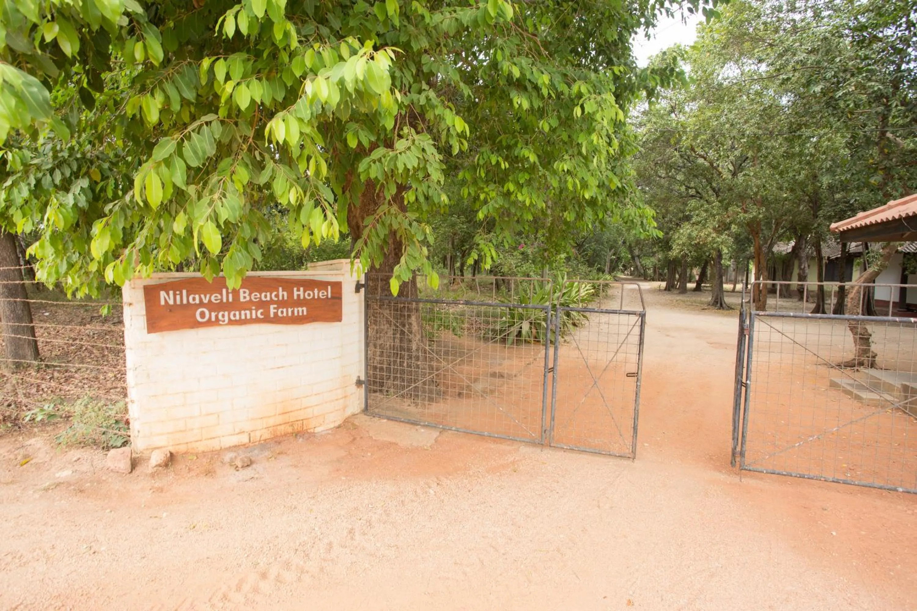 Area and facilities in Nilaveli Beach Hotel