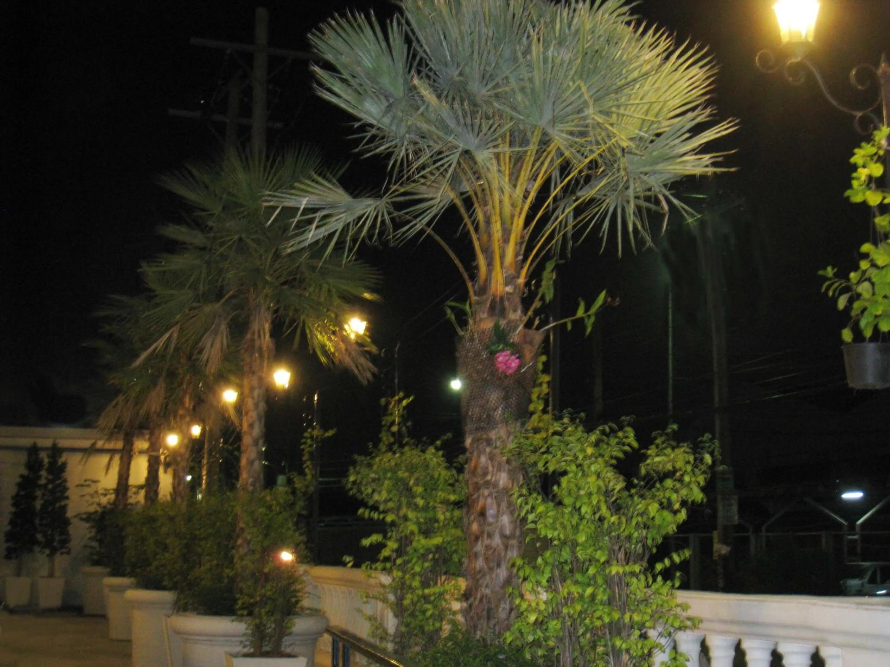 Garden in Rafael Hotel and Mansion Bangkok