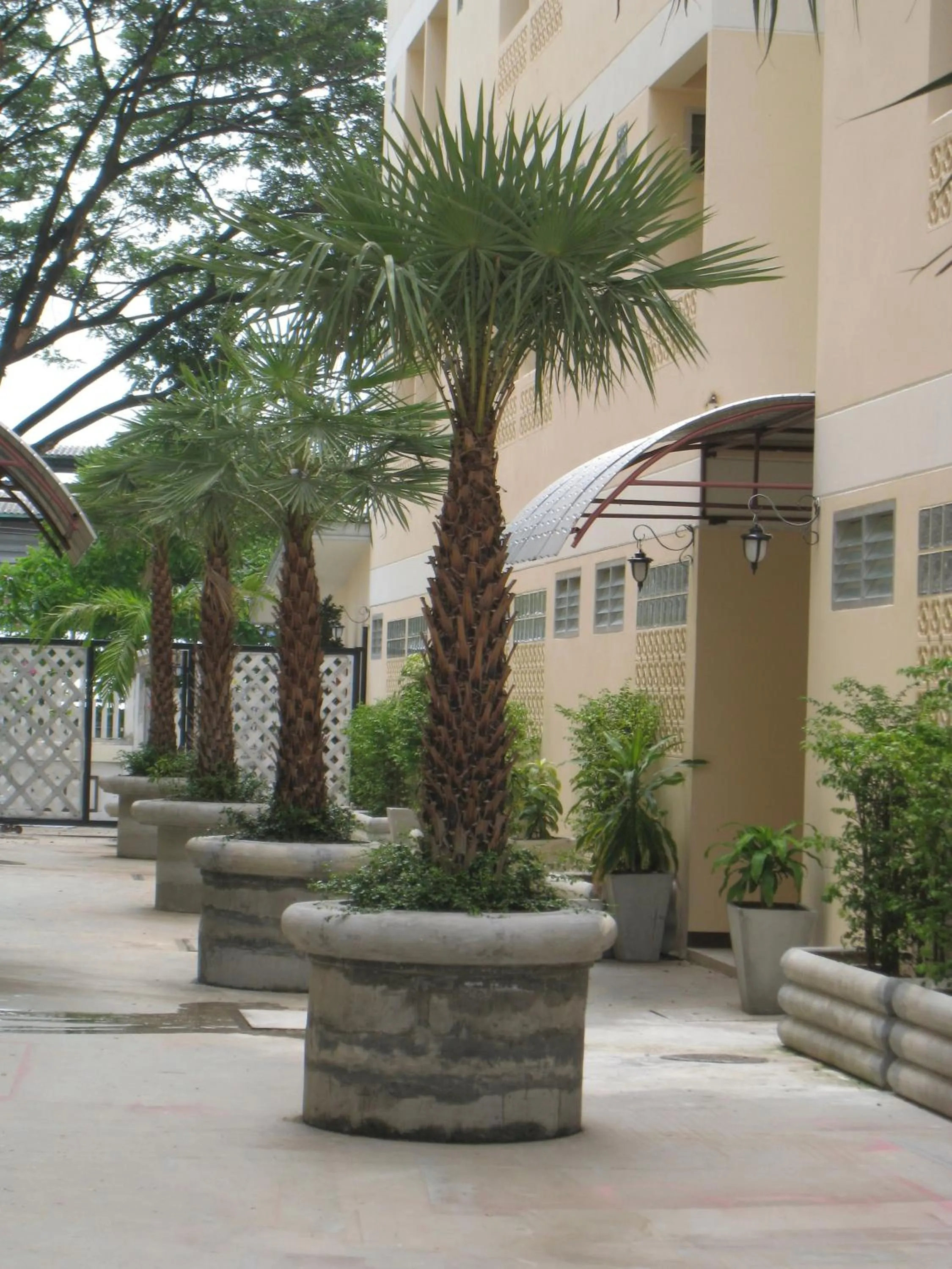 Garden in Rafael Hotel and Mansion Bangkok