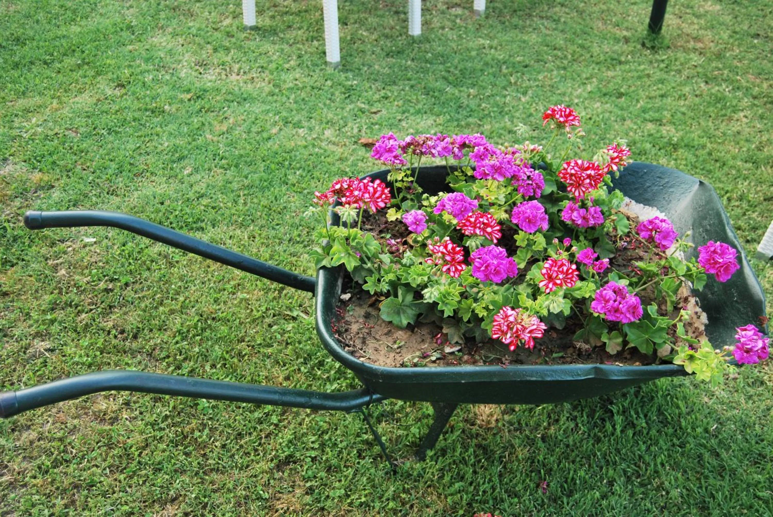 Other in Hotel Achillion