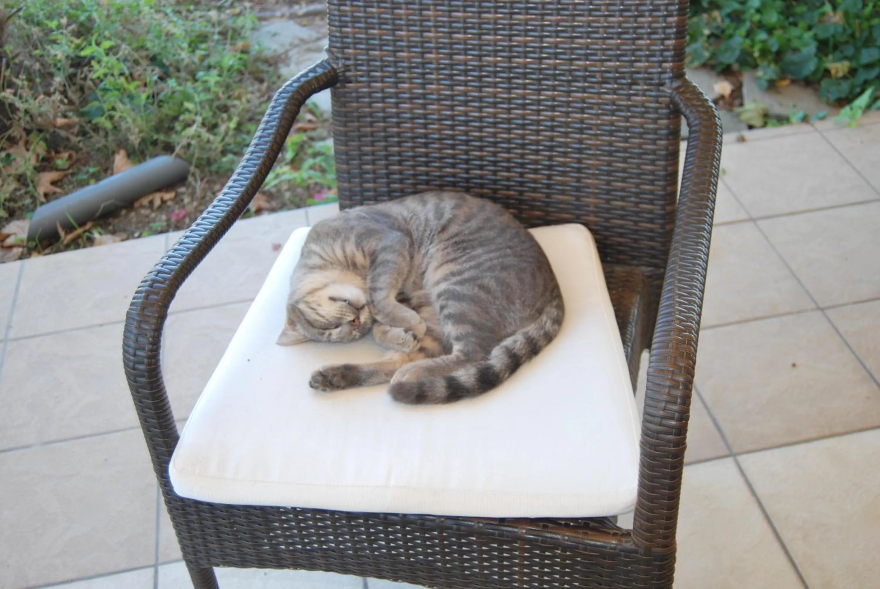 Other in Hotel Achillion