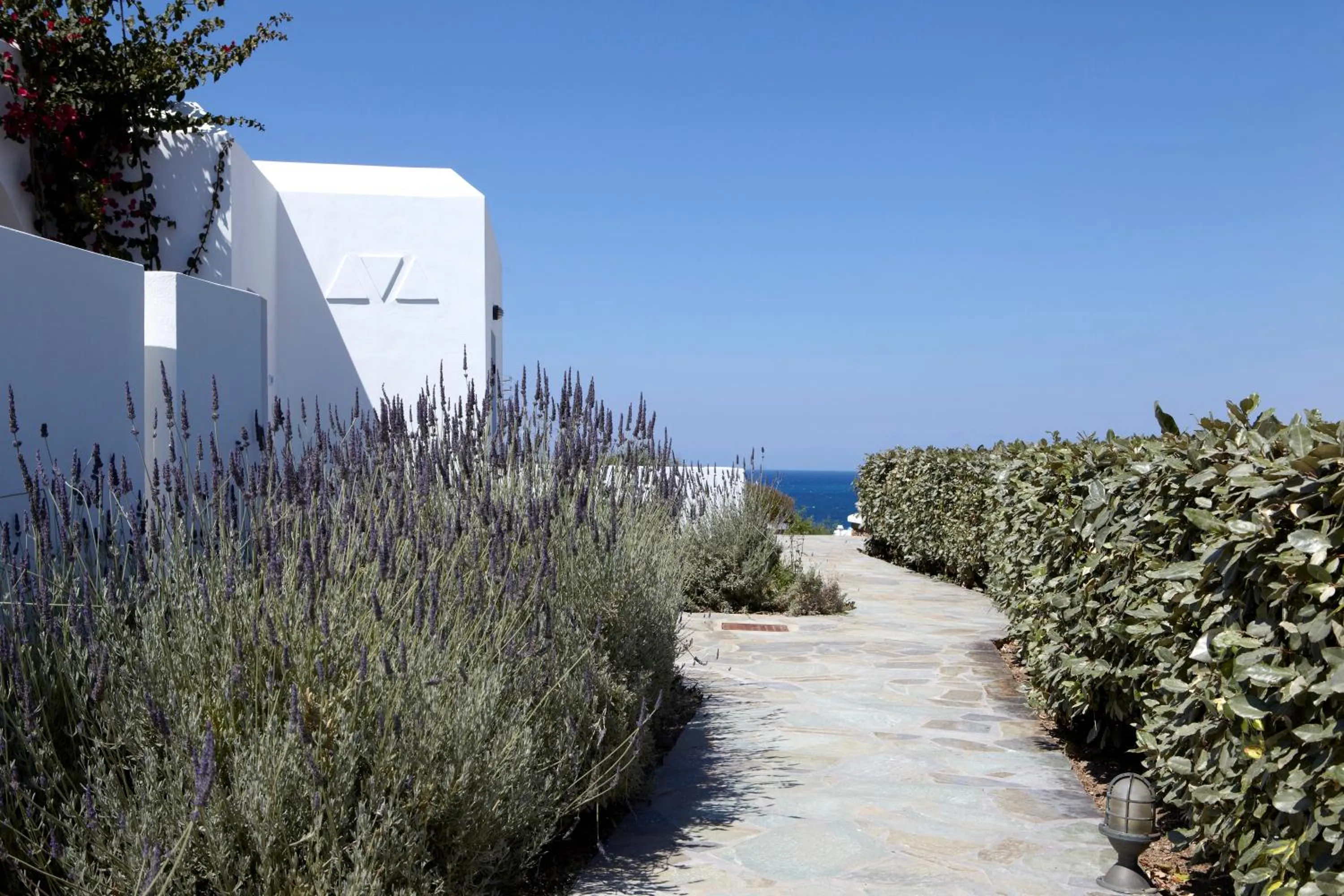 Garden in Hotel Mediterranean