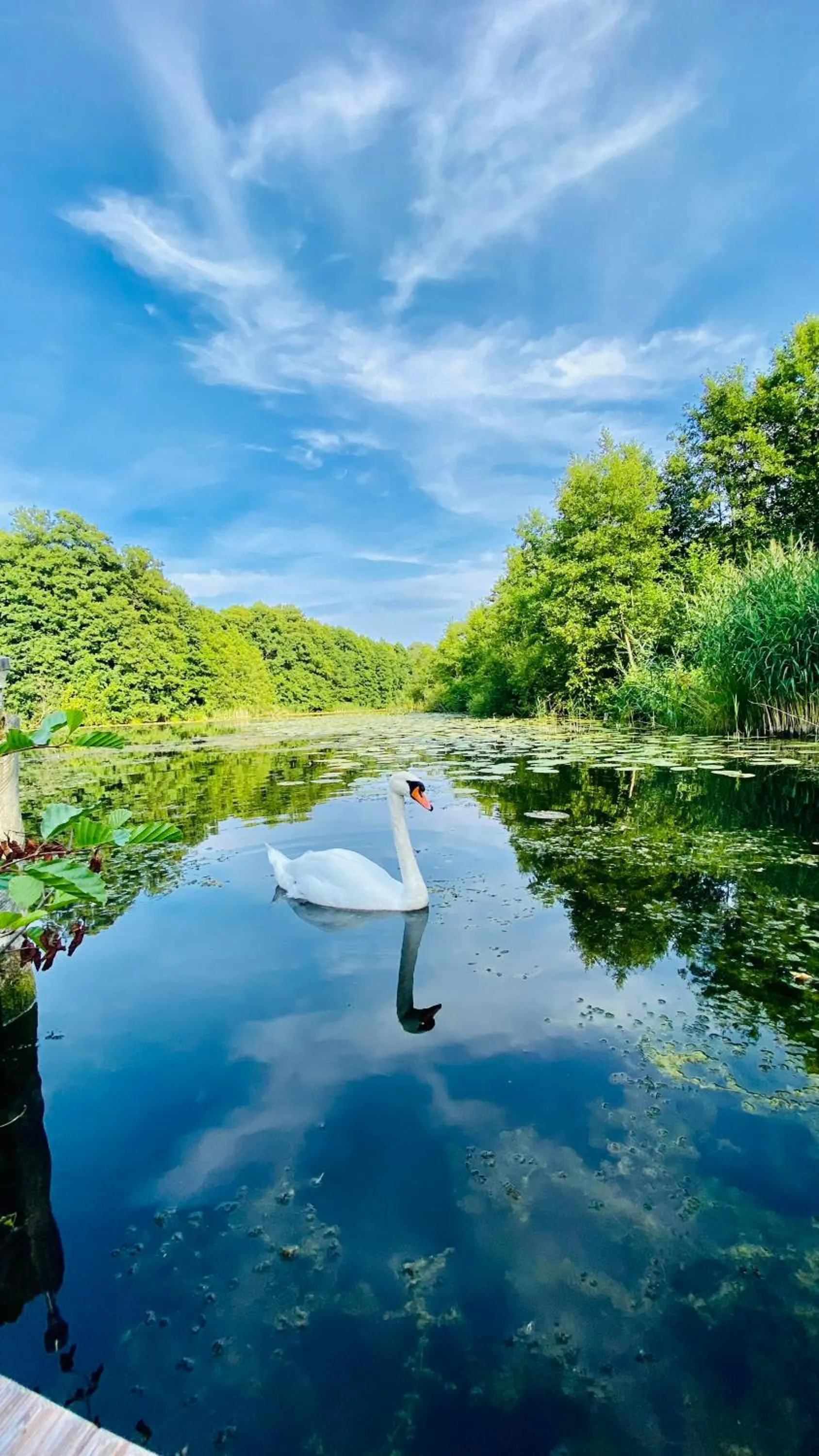 Landhotel Cafe Prälank