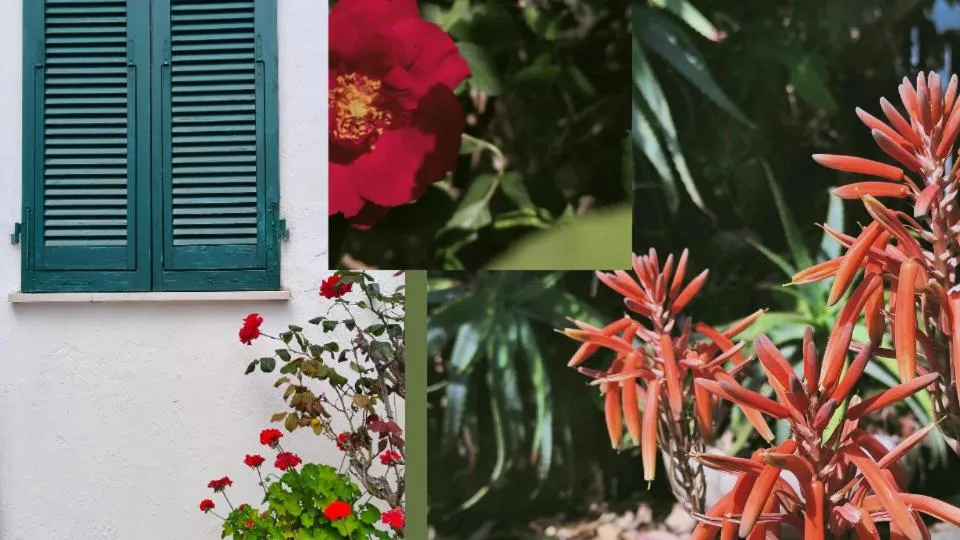 Property building in Hotel Scoglio Bianco